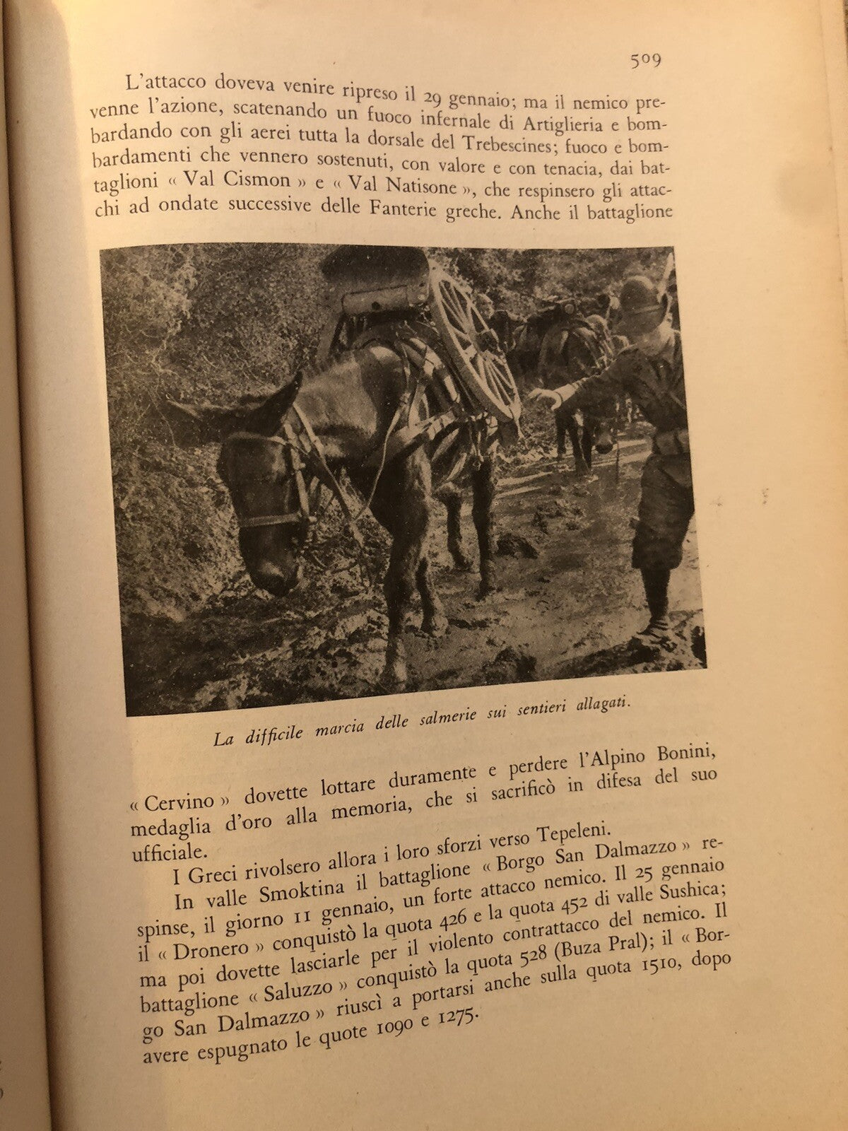 Storia delle fanterie Italiane, Edoardo Scala volume VIII Gli Alpini 1955
