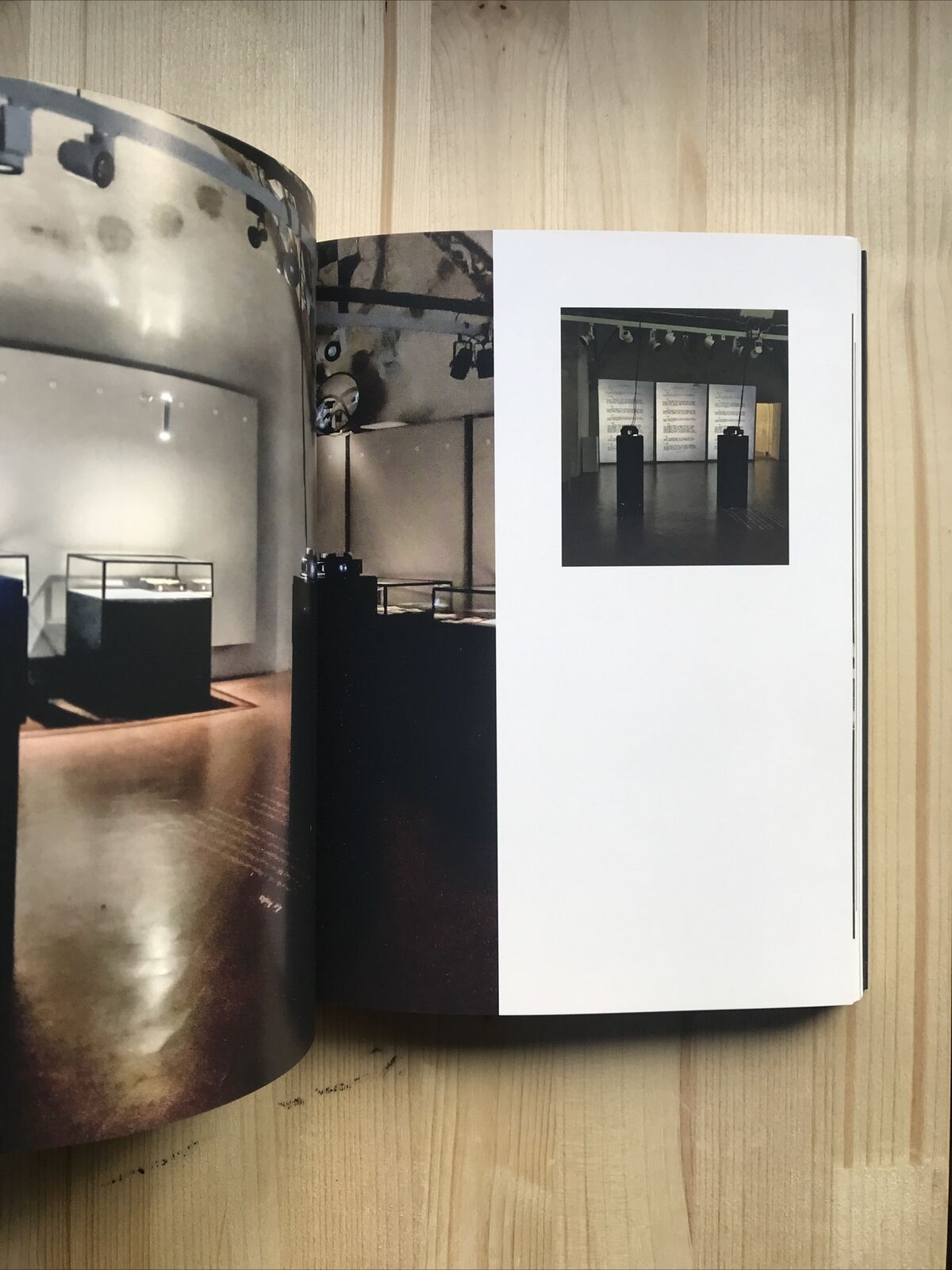 ANTONELLO FRESU - Der Körper, Mostra di Carpi Palazzo del Pio 2019. G. Demuro
