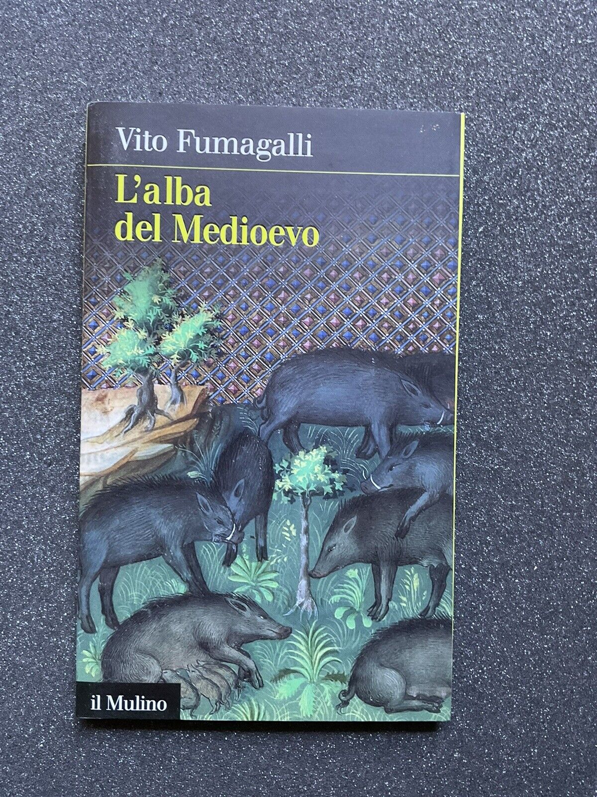 L'alba del Medioevo - Vito Fumagalli. Il Mulino