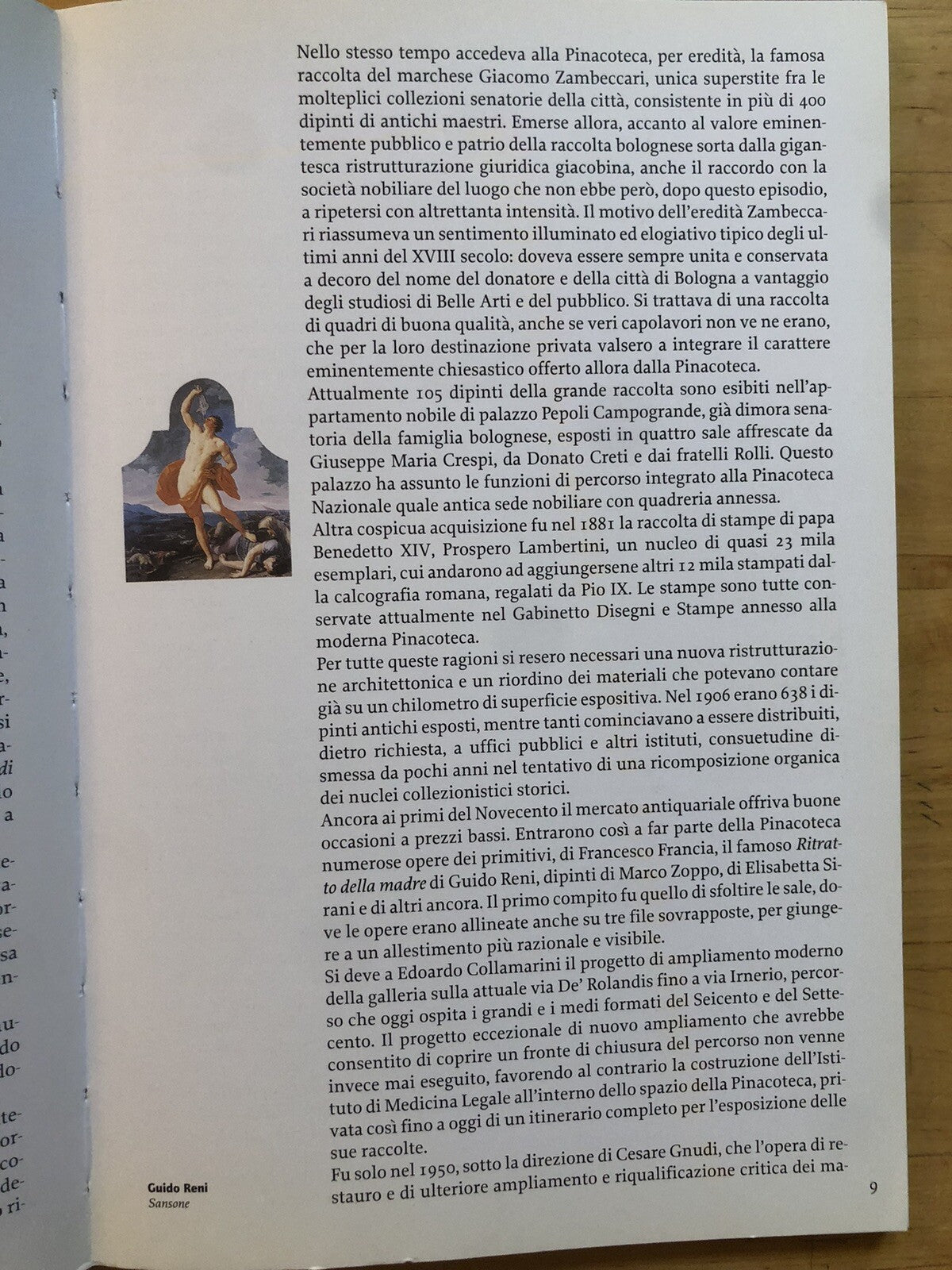 La Pinacoteca Nazionale di Bologna - Rosa D'Amico - Marsilio 2001
