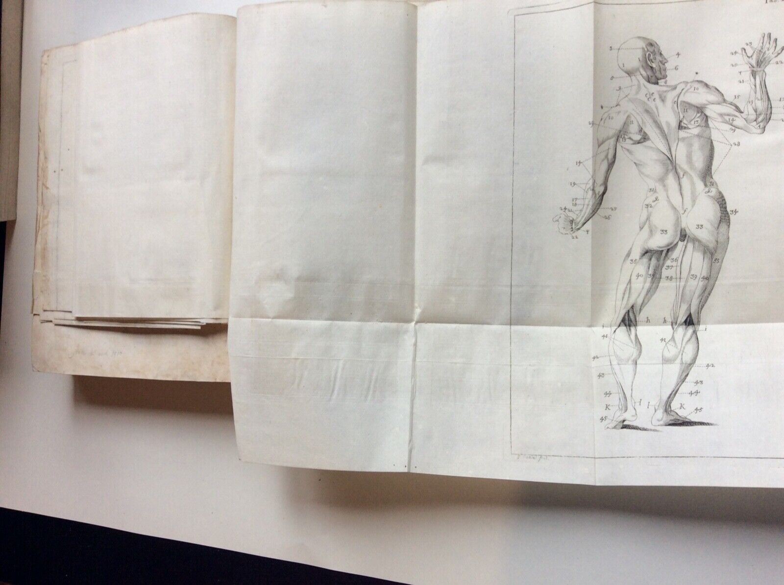 ESPOSIZIONE ANATOMICA DELLA STRUTTURA DEL CORPO UMANO, WINSLOW, 1767, 2 tomi