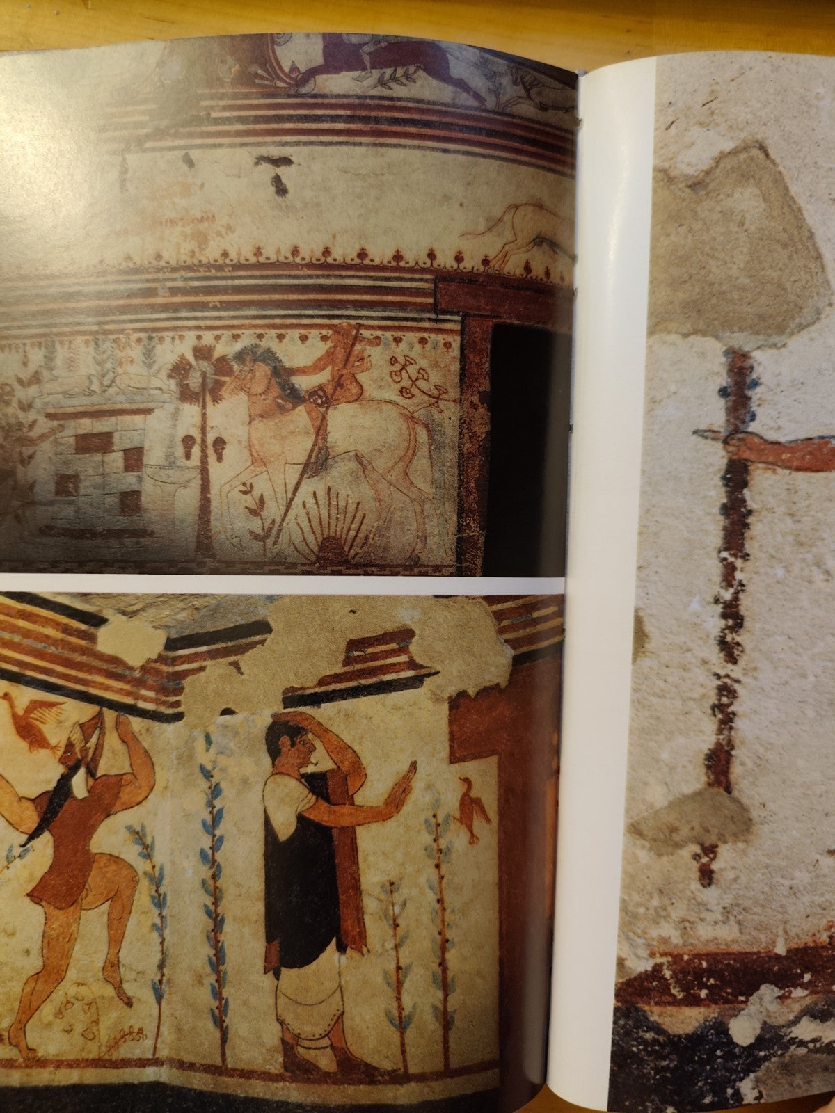 Storia degli etruschi, Mario Torelli - Editori Laterza 1981