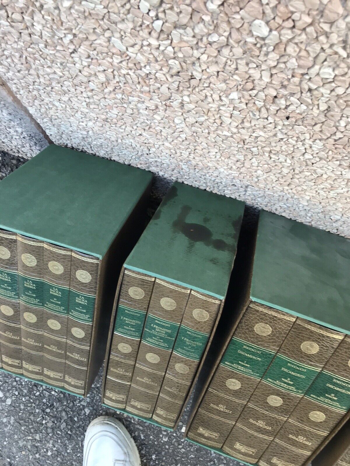 Manzoni, Boccaccio, Virgilio, Tasso, Cervantes, Dante - Promessi sposi, Divina c