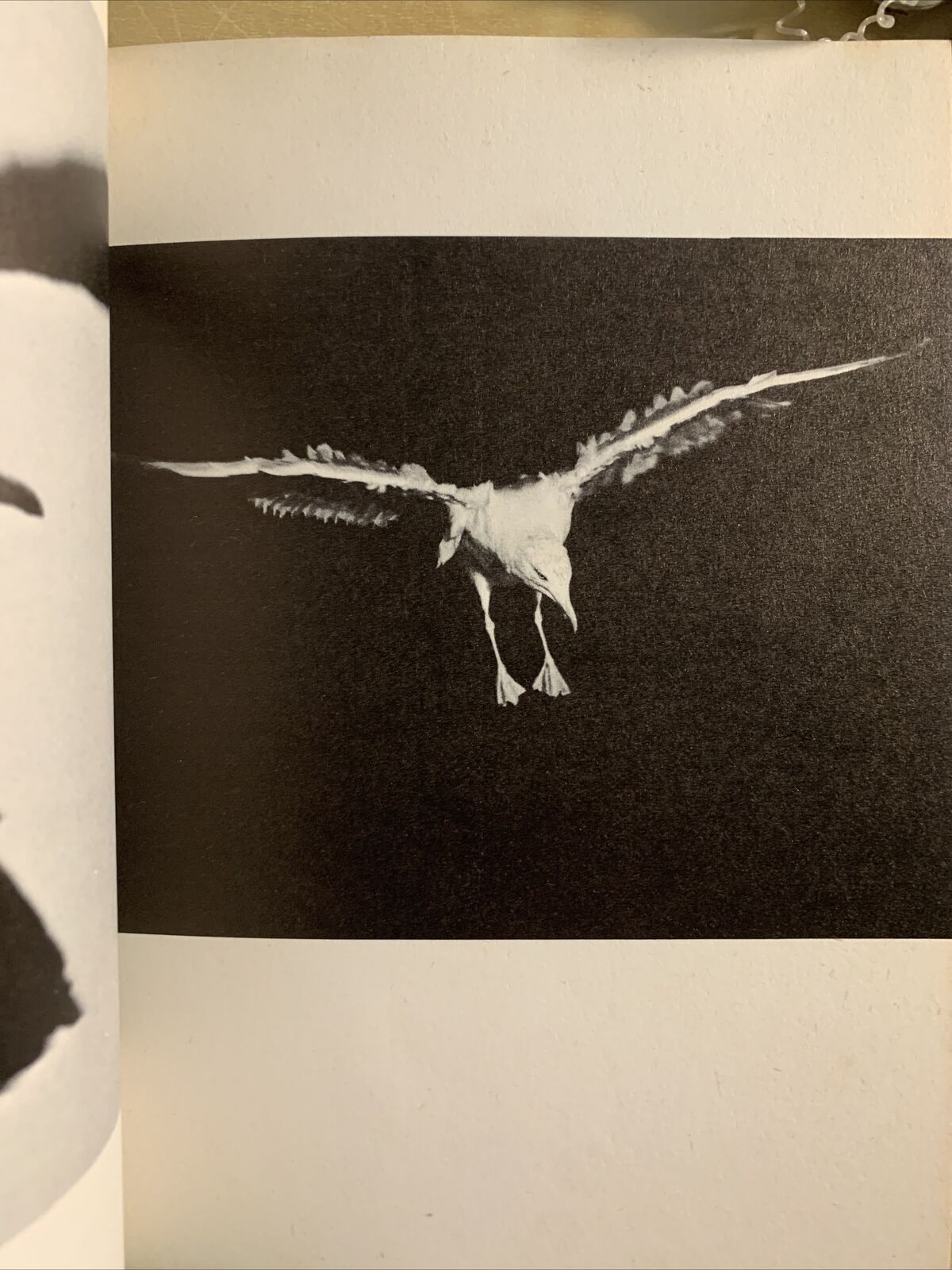 JONATHAN LIVINGSTONE SEAGULL a story. Richard bach. Pan books 1972 #