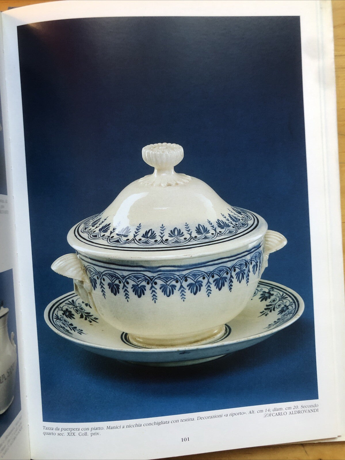 La manifattura Aldrovandi, Nicoletta Barberini, Bologna. Bolelli ed. 1996