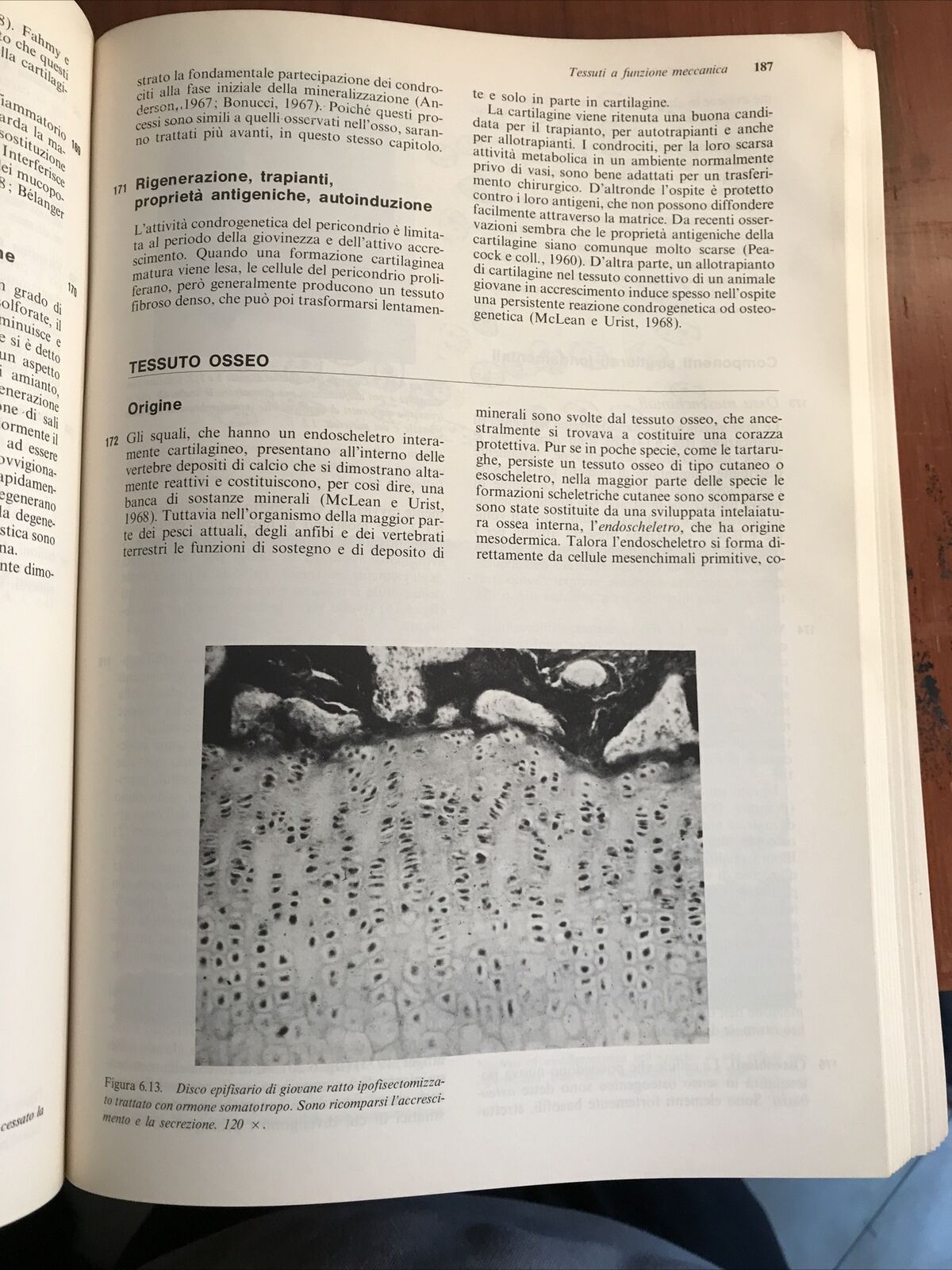 ISTOLOGIA zanichelli WEISS ROY O. GREEP