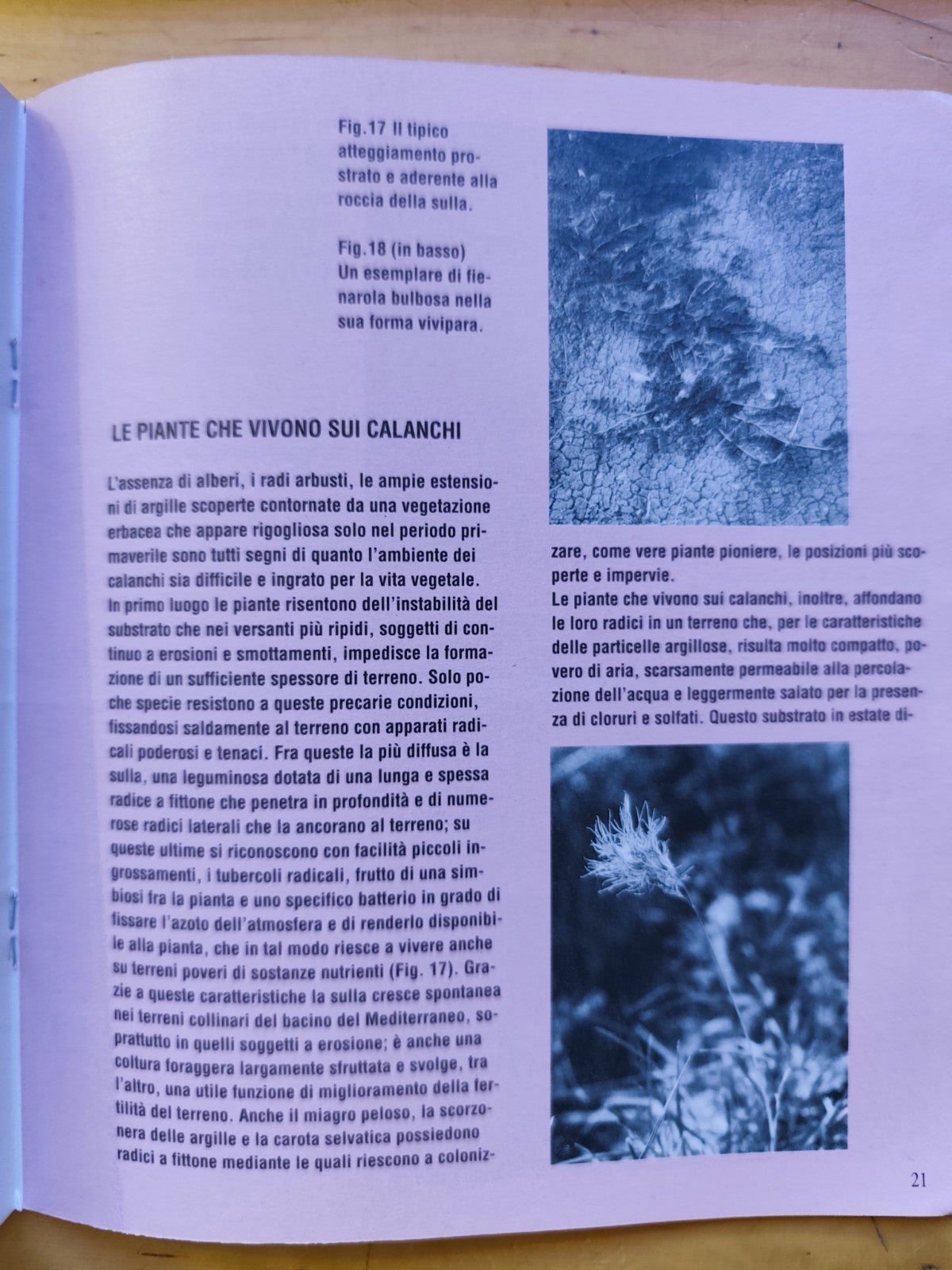 I Calanchi del parco, Gessi Bolognesi - calanchi dell'Abadessa, centro Villa Ghi