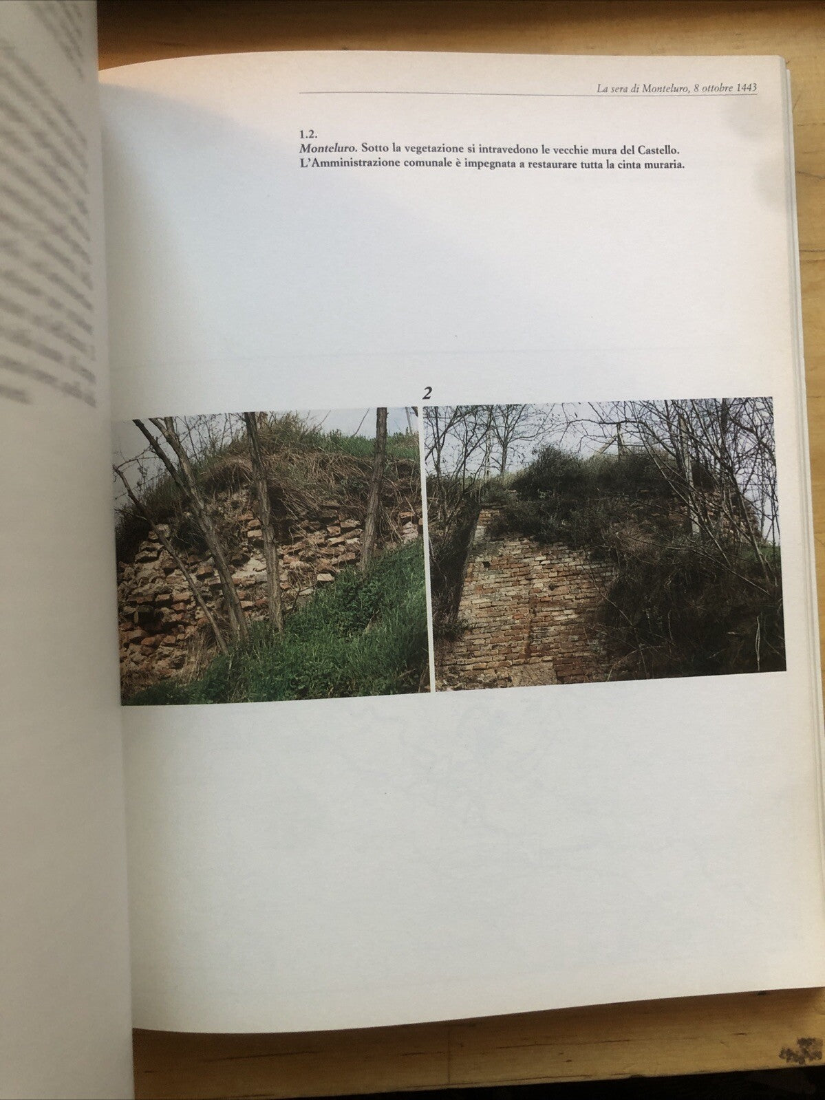 Tavullia fra Montefeltro e Malatesti storia e cultura, Delio Bischi 1986