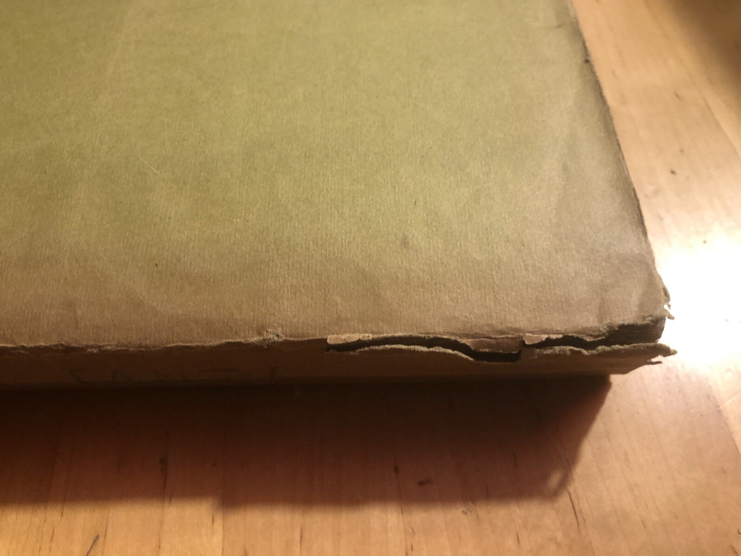 Manfredo Fanti generale d'armata sua vita scritta F. Carandini 1872 G. Civelli