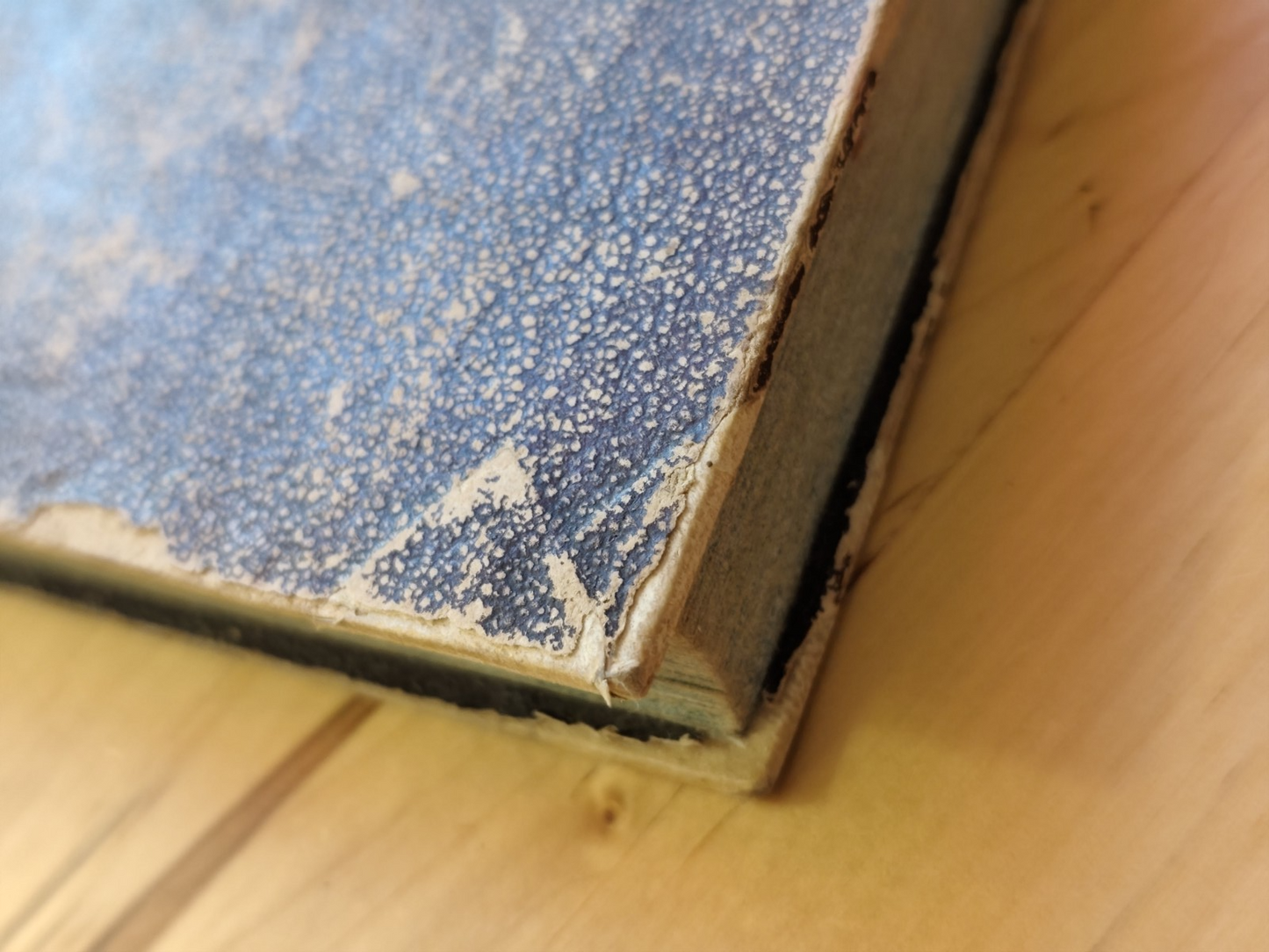 Gesù al cuore della giovane - meditazioni, Camillo Zamboni prete bolognese 1849