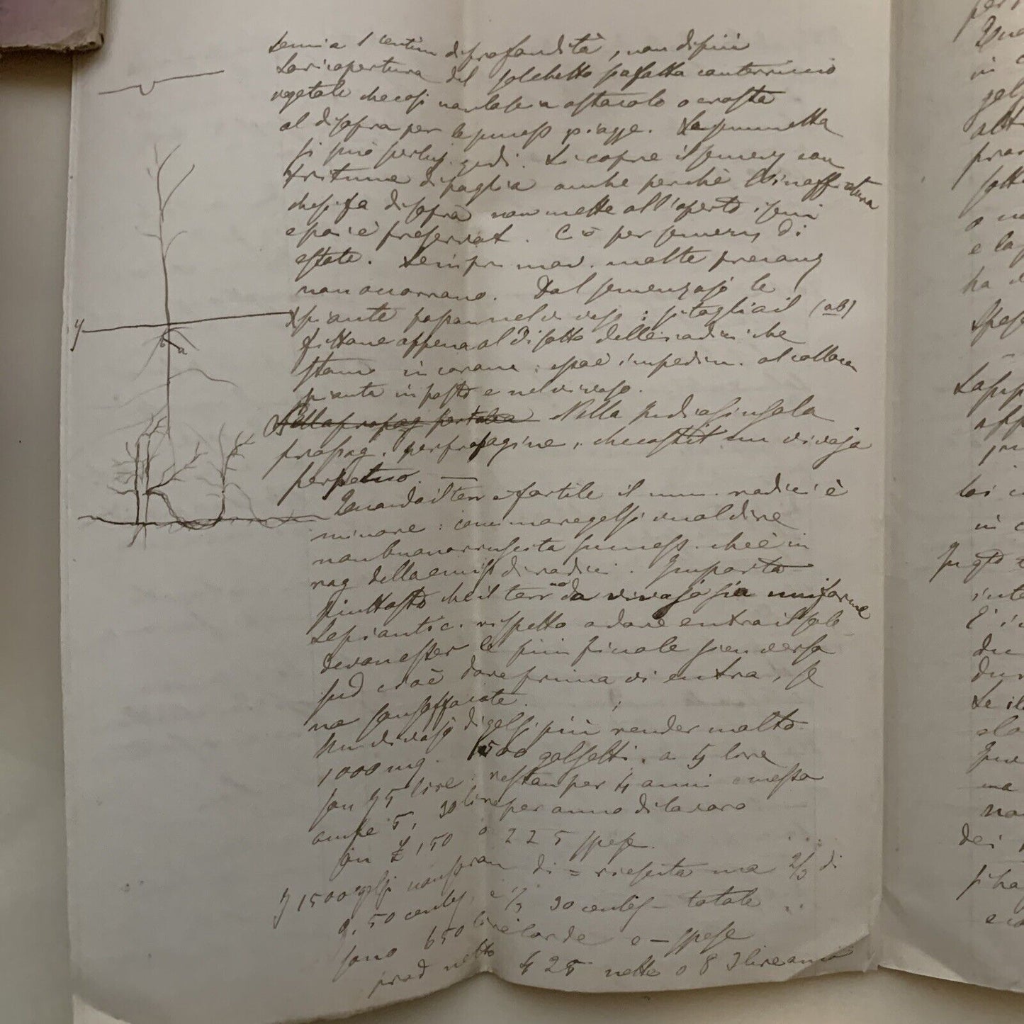 Prof. Gaetano Cantoni ?.  Appunti manoscritti di un suo studente ECONOMIA RURALE