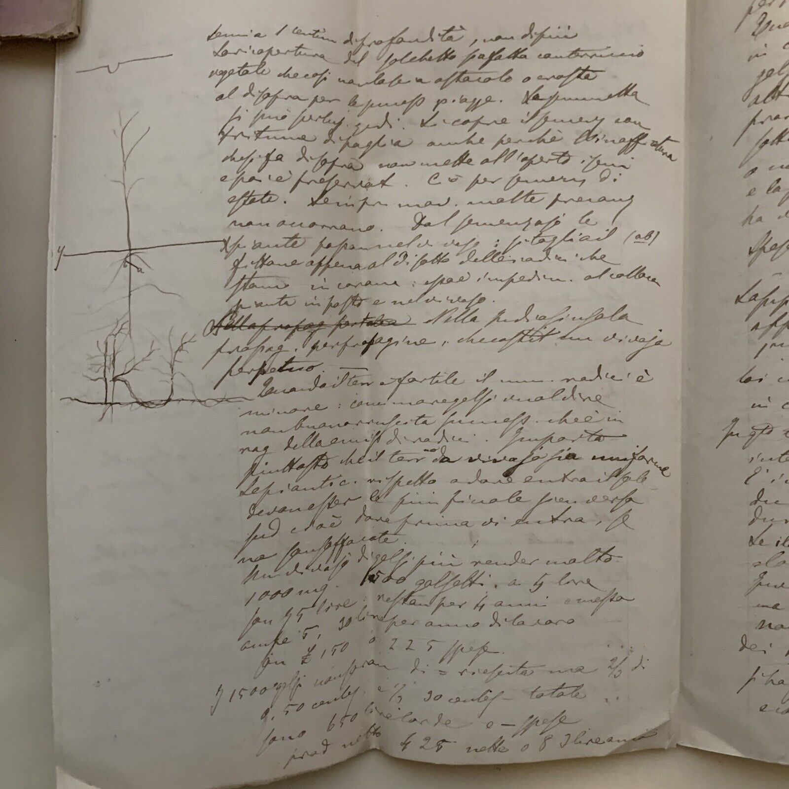 Prof. Gaetano Cantoni ?.  Appunti manoscritti di un suo studente ECONOMIA RURALE