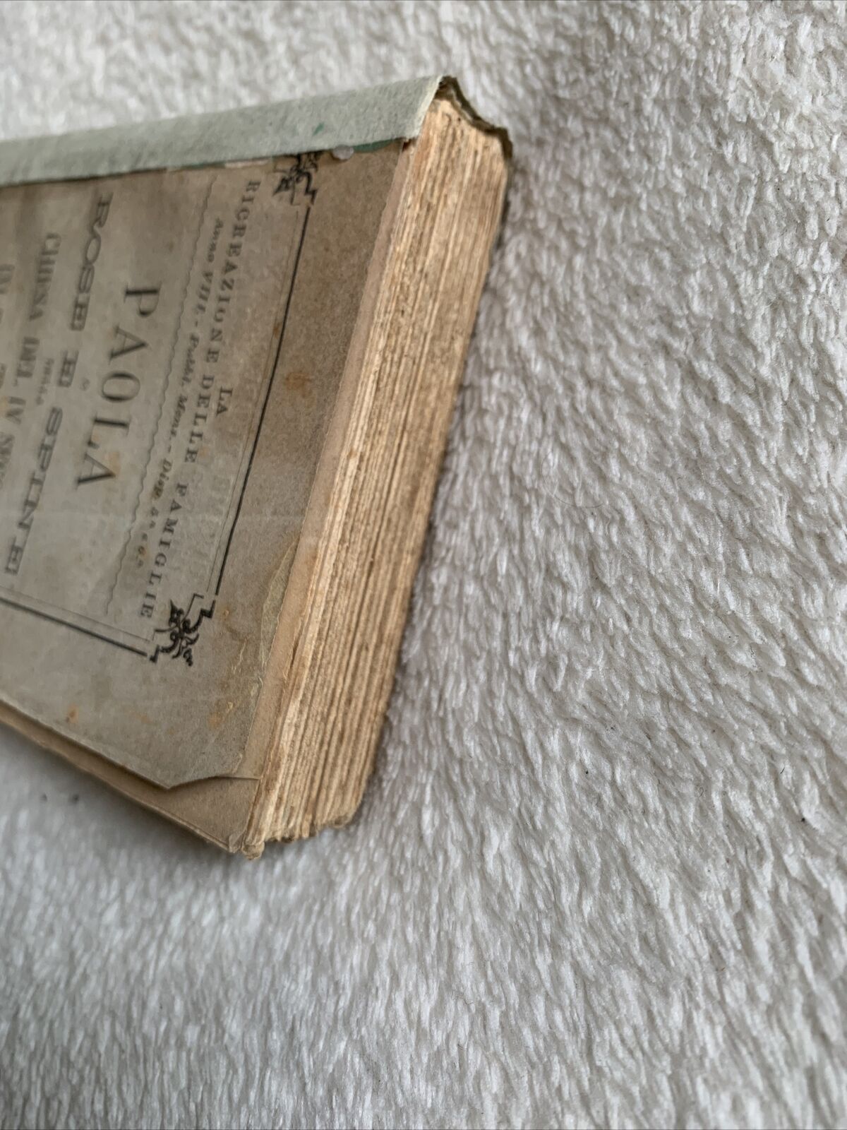 Paola rose e spine della chiesa del IV secolo per una figlia della carità  1879