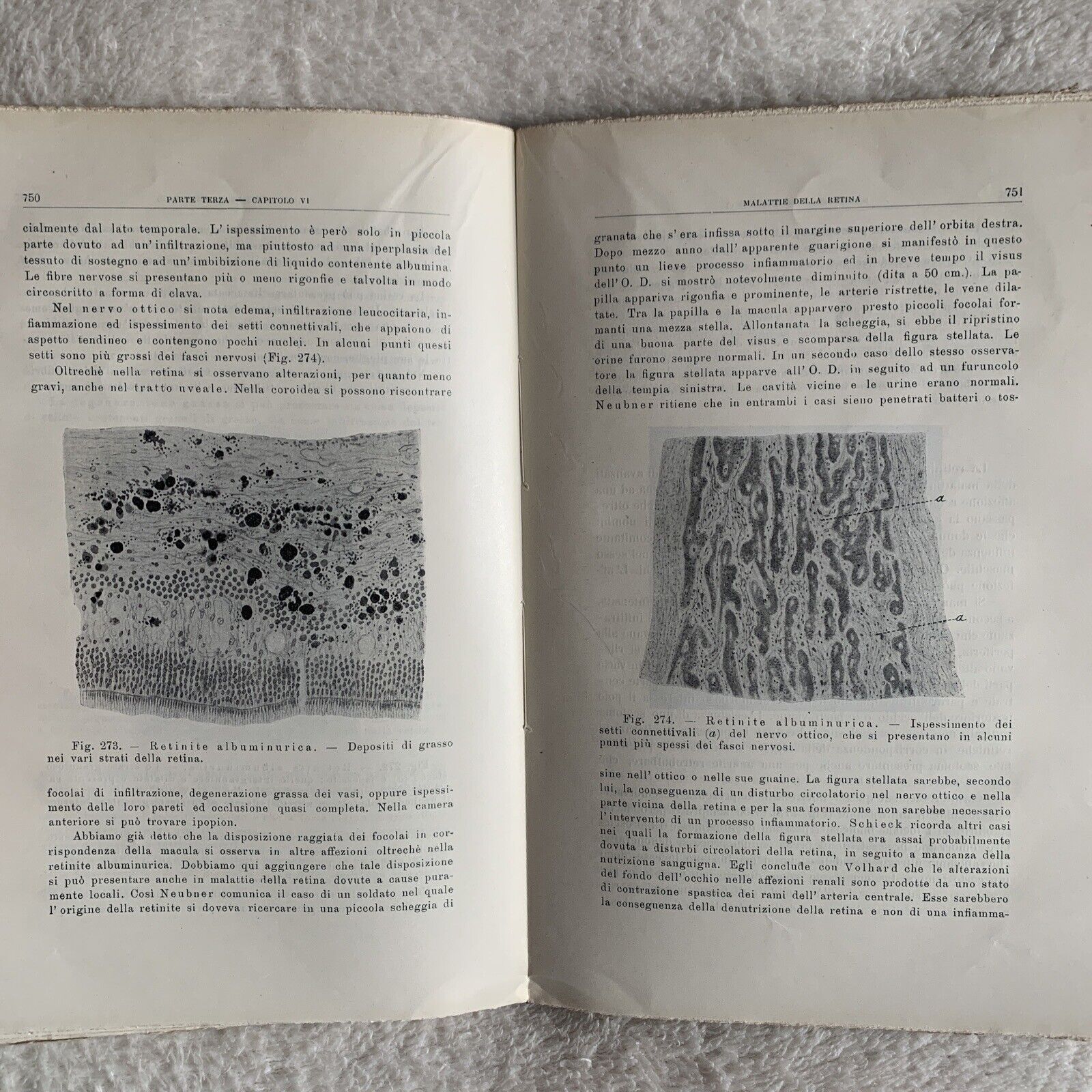 TRATTATO DI OFTALMOJATRIA. Amilcare Bietti, Vol. secondo puntata prima-seconda.