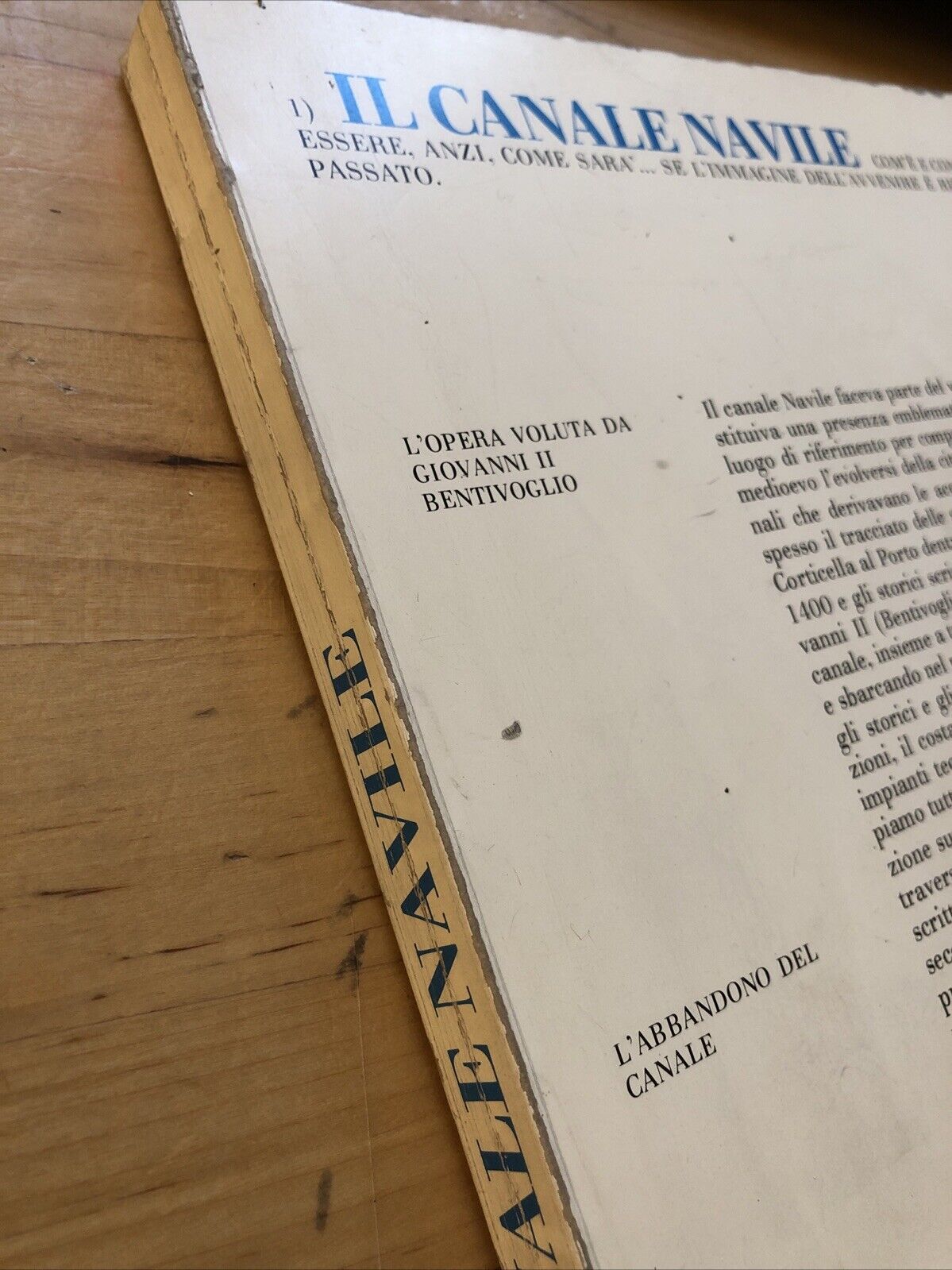 Il canale Navile ( Bologna ), com'è e come potrebbe essere. Giovanni Bentivoglio