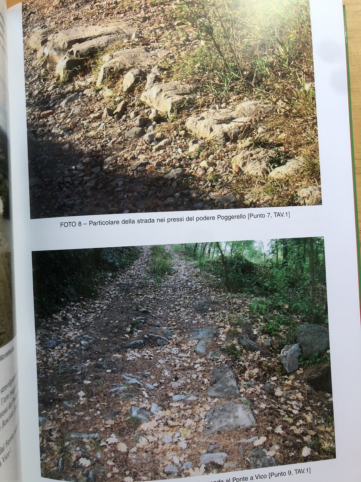 La strada flaminia militare del 187 a.c. Bologna Arezzo, Cesare Agostini, Santi