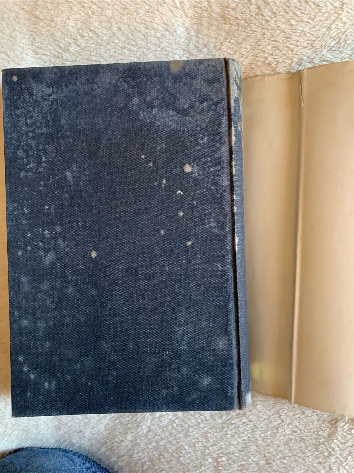 THE LOST CENTURIES from the muslim Empires to . . . John Bagot 1967