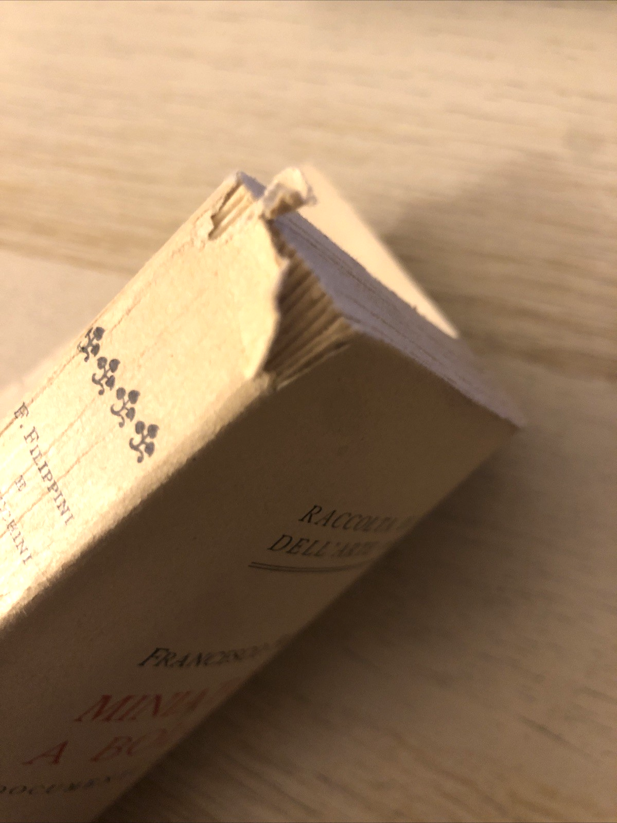 Miniatori e pittori a Bologna documenti dei secoli XIII e XIV, Sansoni ed. 1947