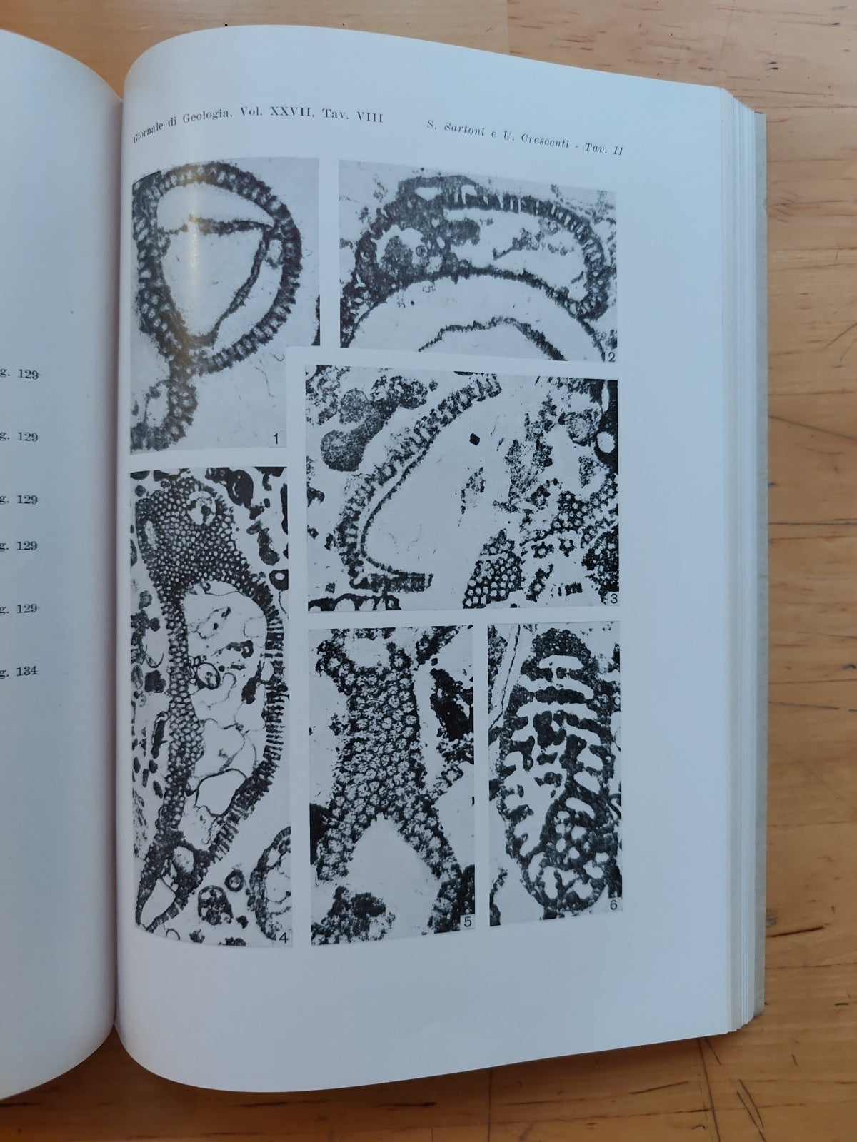 Giornale di geologia, museo geologico Bologna - Raimondo Selli, serie 2ª XXVII