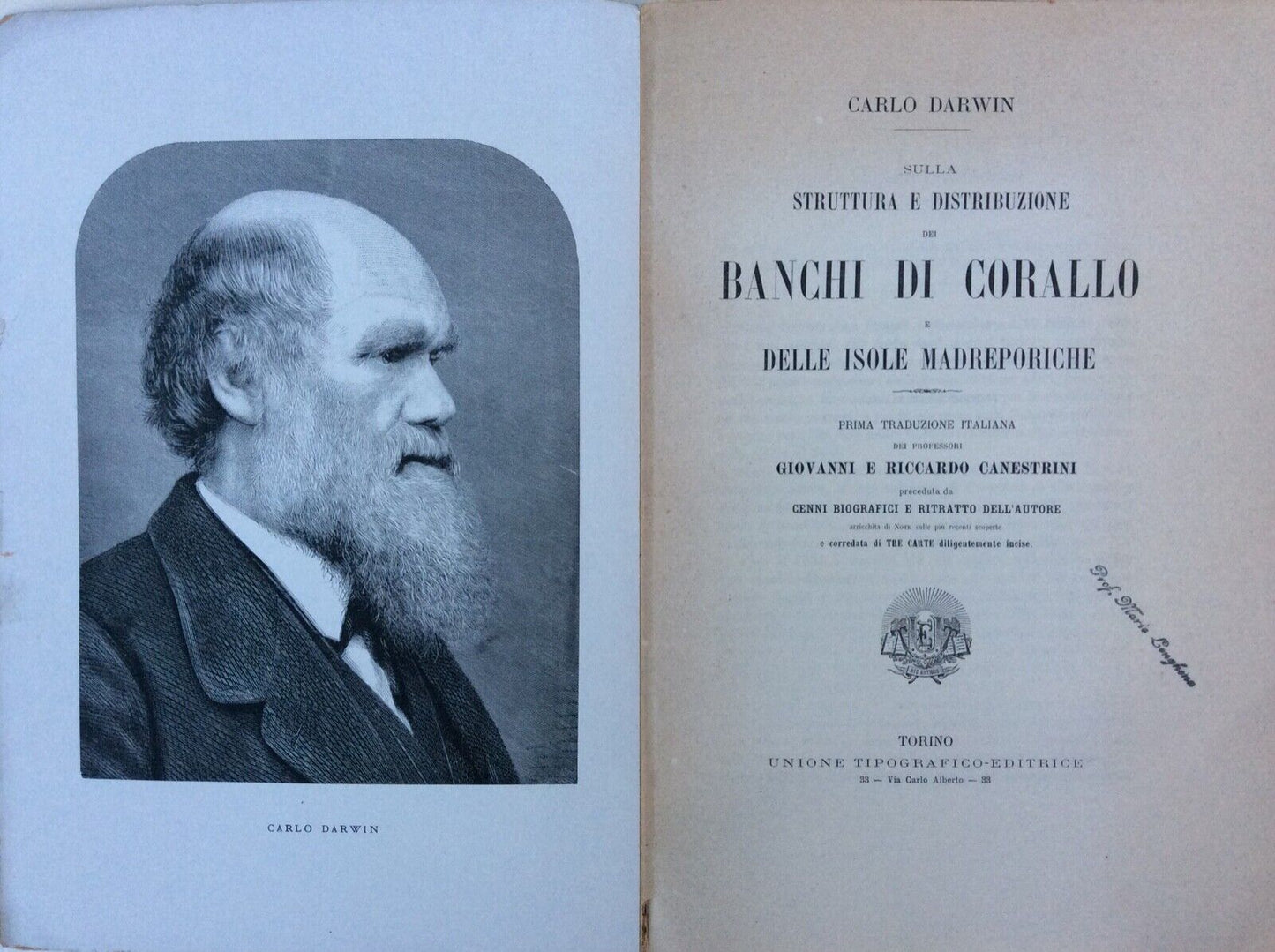 SULLA STRUTTURA DISPOSIZIONE DEI BANCHI DI CORALLO, DARWIN, UNIONE TIPOGRAFICO