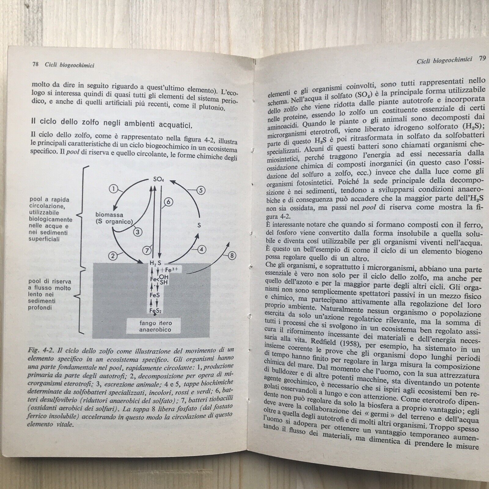 ECOLOGIA, Eugene P. Odum, zanichelli.