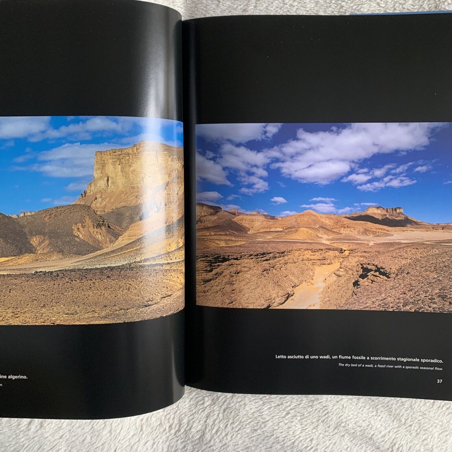 DESERTI - DESERTS, Stefano Regazzoni, Ferrari Editrice 2002 #