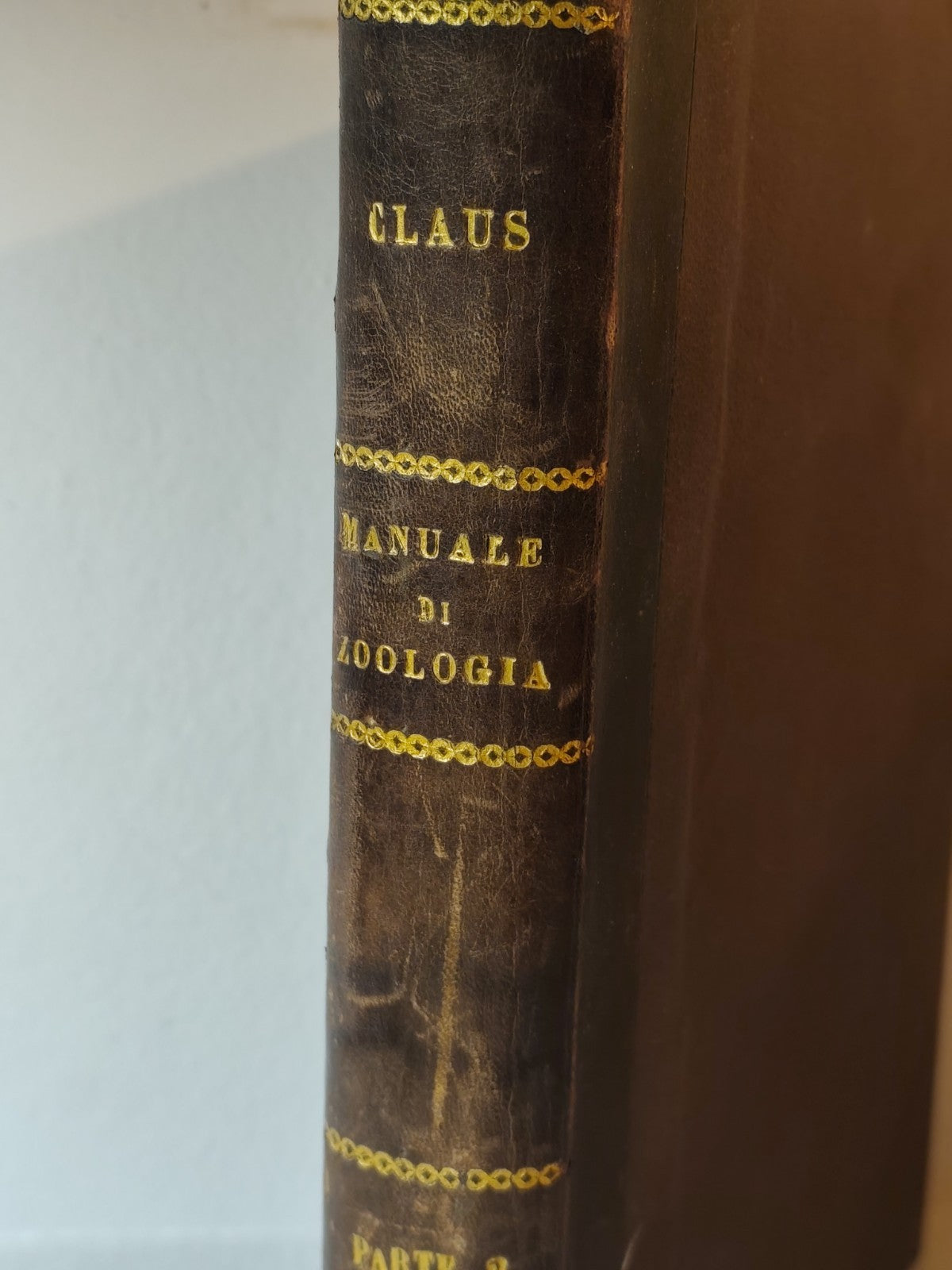 Manuale di Zoologia parte seconda, C. Claus, Cattaneo. Vallardi - antico '800