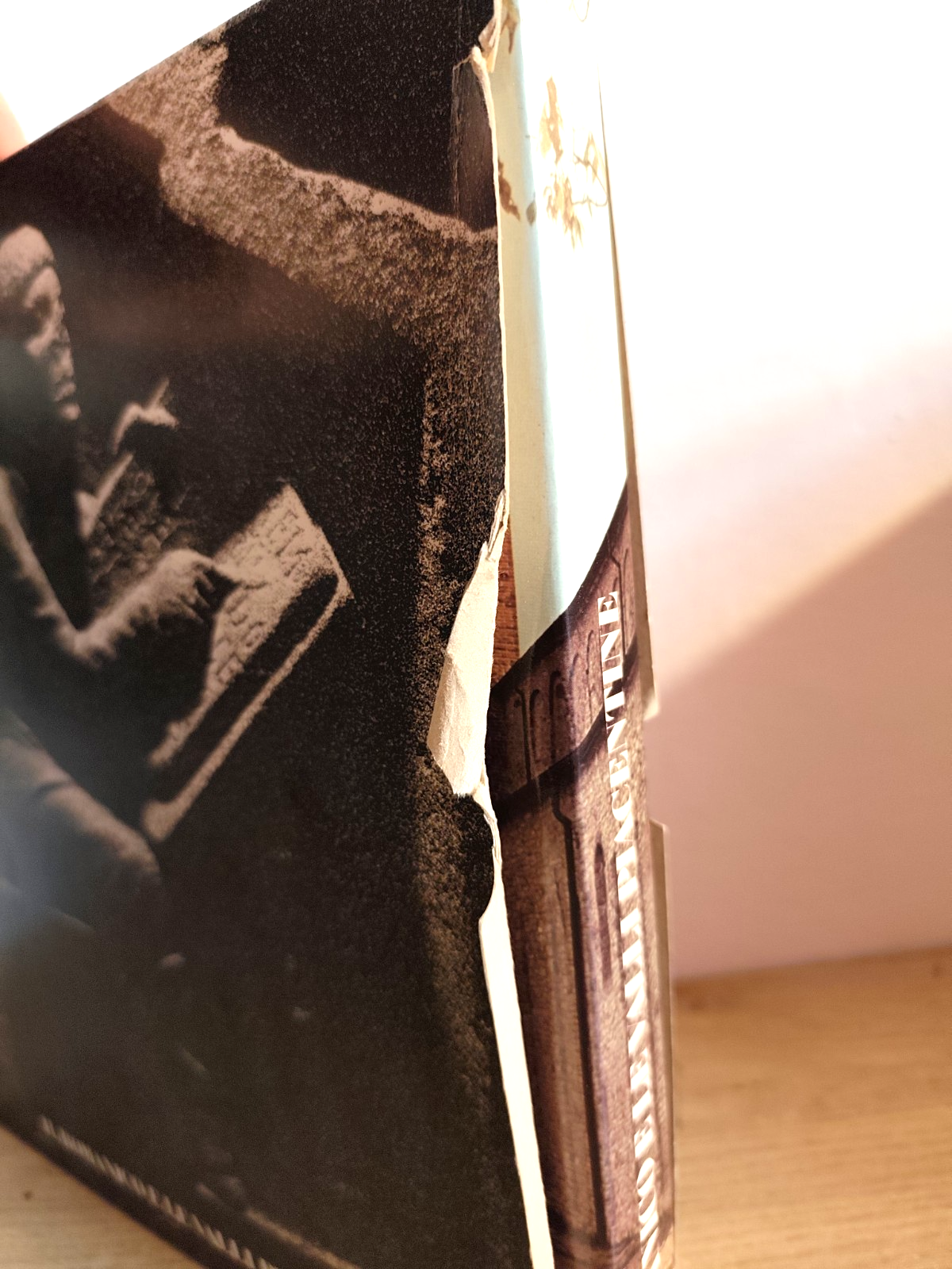 Il Romanico e le valli Piacentine, Carlo Bavagnoli 1978