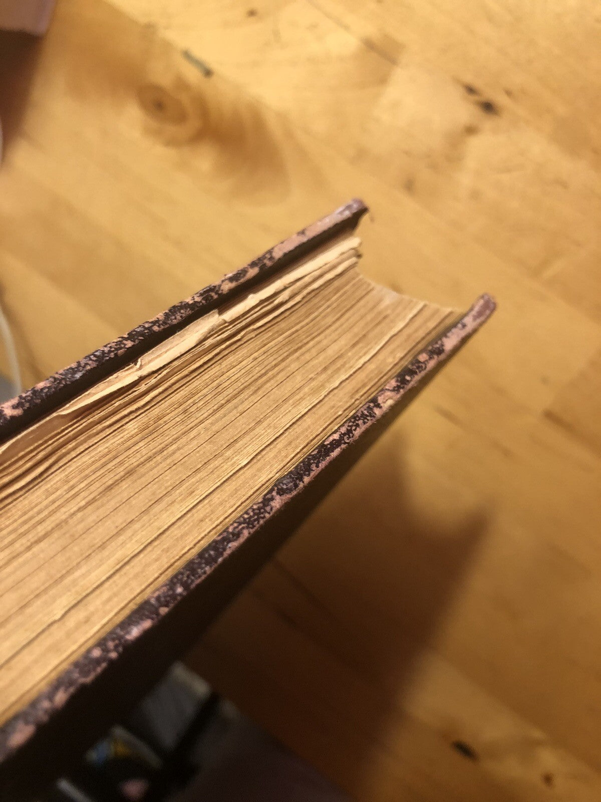 La divina commedia illustrata da Gustavo Doré - Sonzogno, Eugenio Camerini