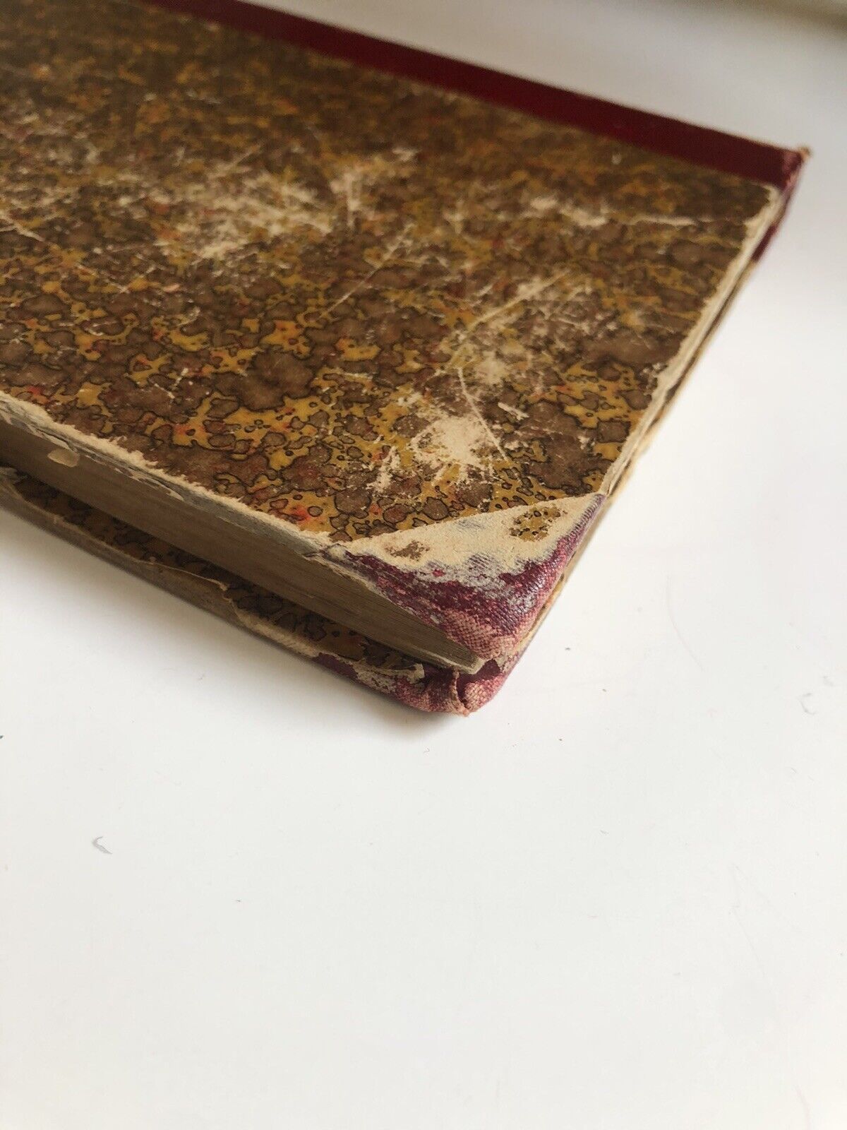 Carlo Collodi - Storie Allegre, libro per ragazzi illustrato da E. Mazzanti 1894