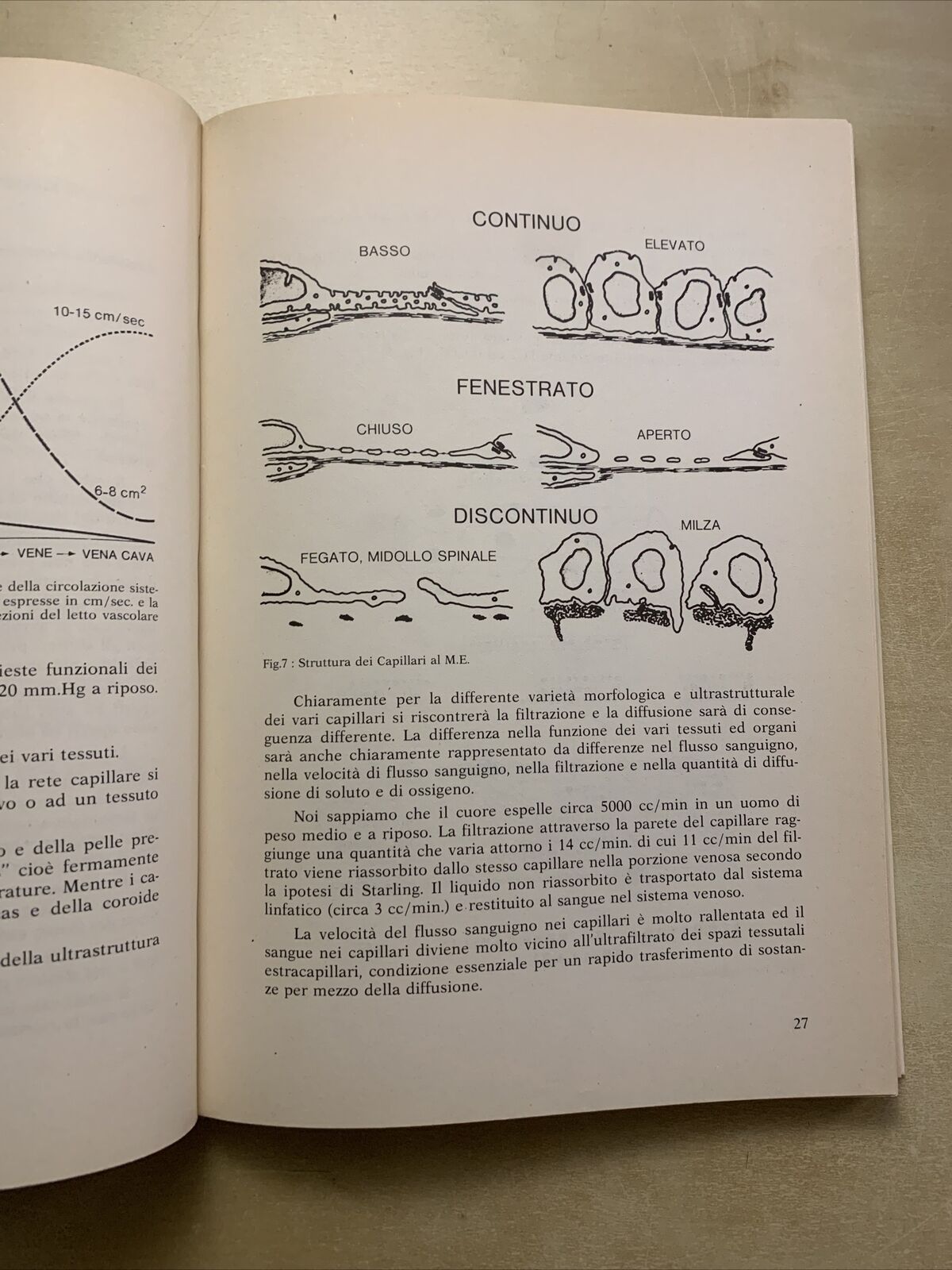 Circolazione oculare e dinamica dei liquidi oculari - Severino Cioli 1981 Nobili
