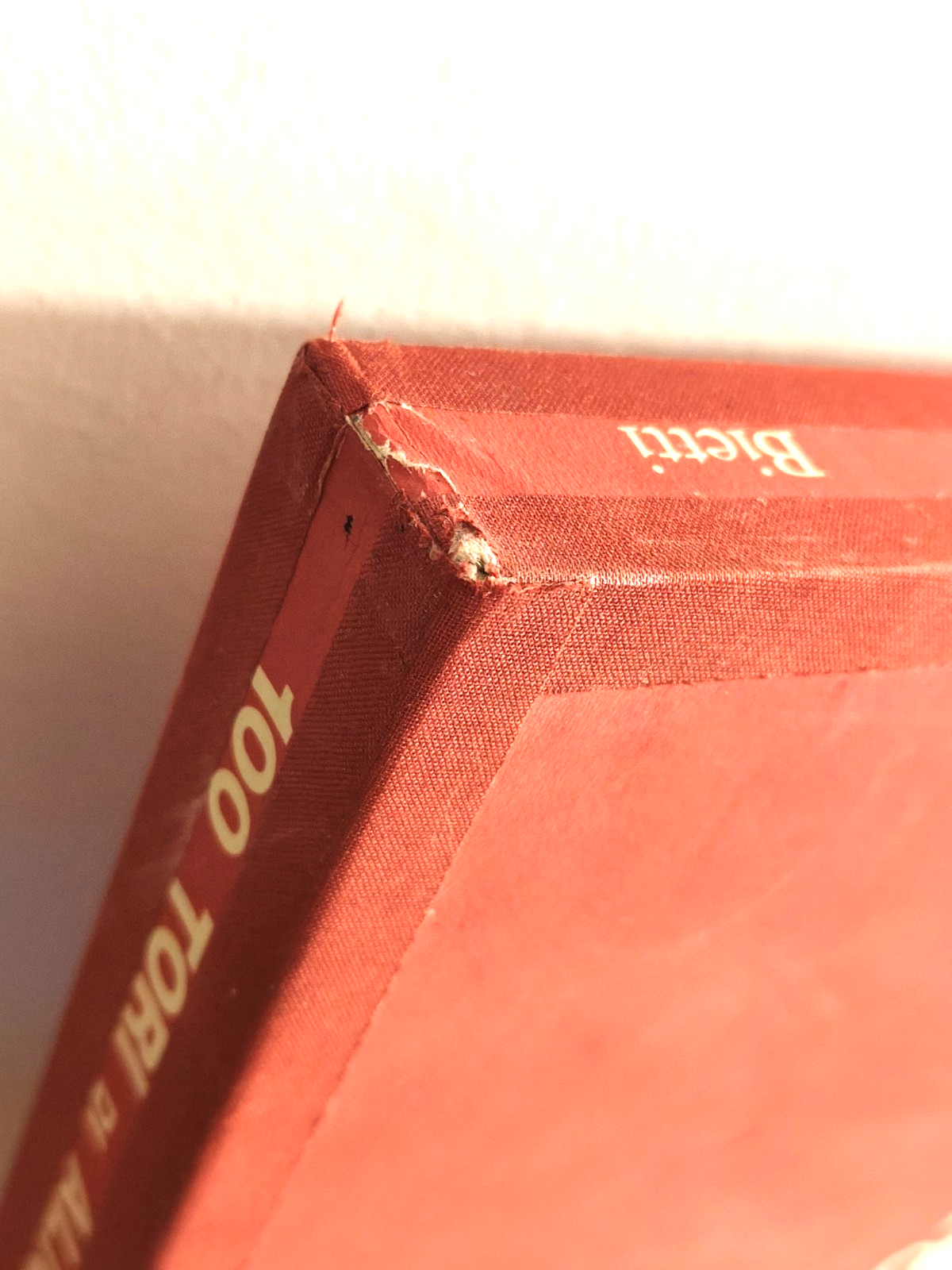 100 tori di Aligi Sassu - Bietti editore 1968