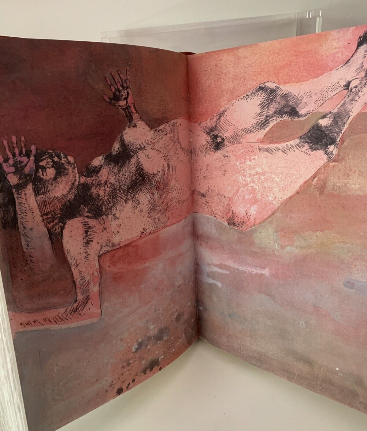 BIBBIA Genesi, Esodo, Levitico, ediz. UNICA. PREGIO FMR Leonardo Cremonini 2008