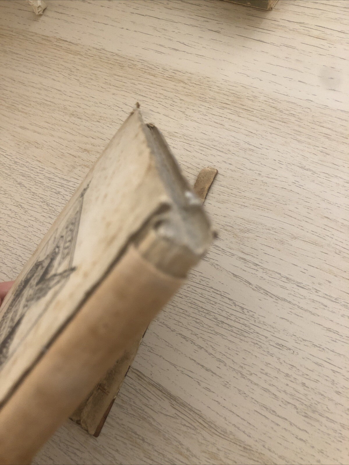 La Secchia, Olindo Guerrini, A. F. Formiggini editore. Garagnani 1908 - Tassone