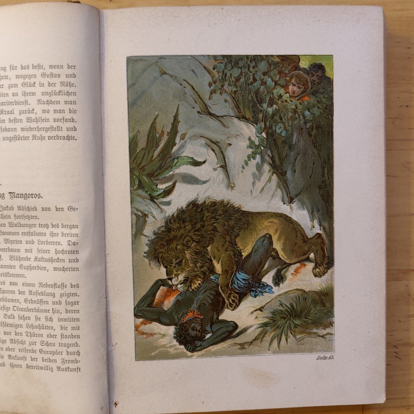 Die Ansiedler in Kamerun und die Schätze des Schiffes, Waldemar, k. Zastrow '800
