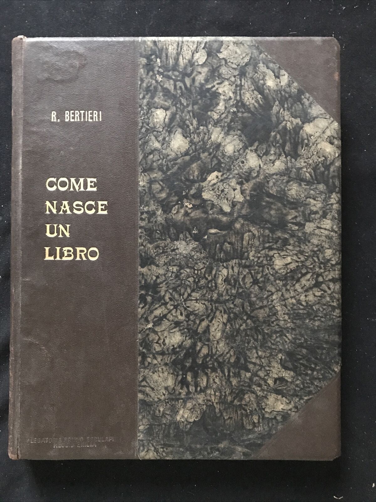 COME NASCE UN LIBRO - R. Bertieri, Istituto Bertieri 1931 #