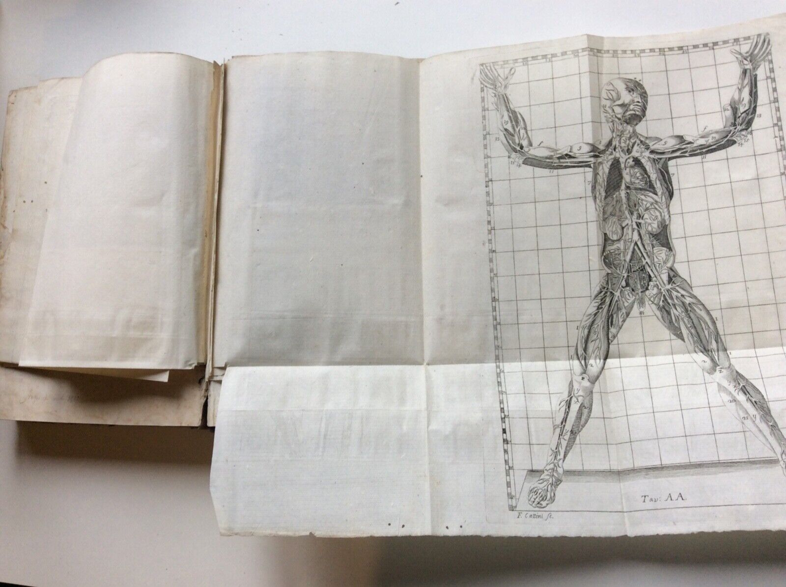 ESPOSIZIONE ANATOMICA DELLA STRUTTURA DEL CORPO UMANO, WINSLOW, 1767, 2 tomi