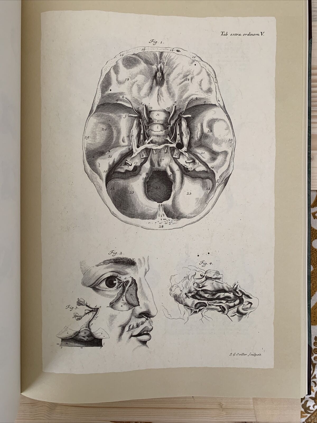 Icones ophthalmologicae - Francesco Loperfido - Casa editrice Mattioli 1992 #