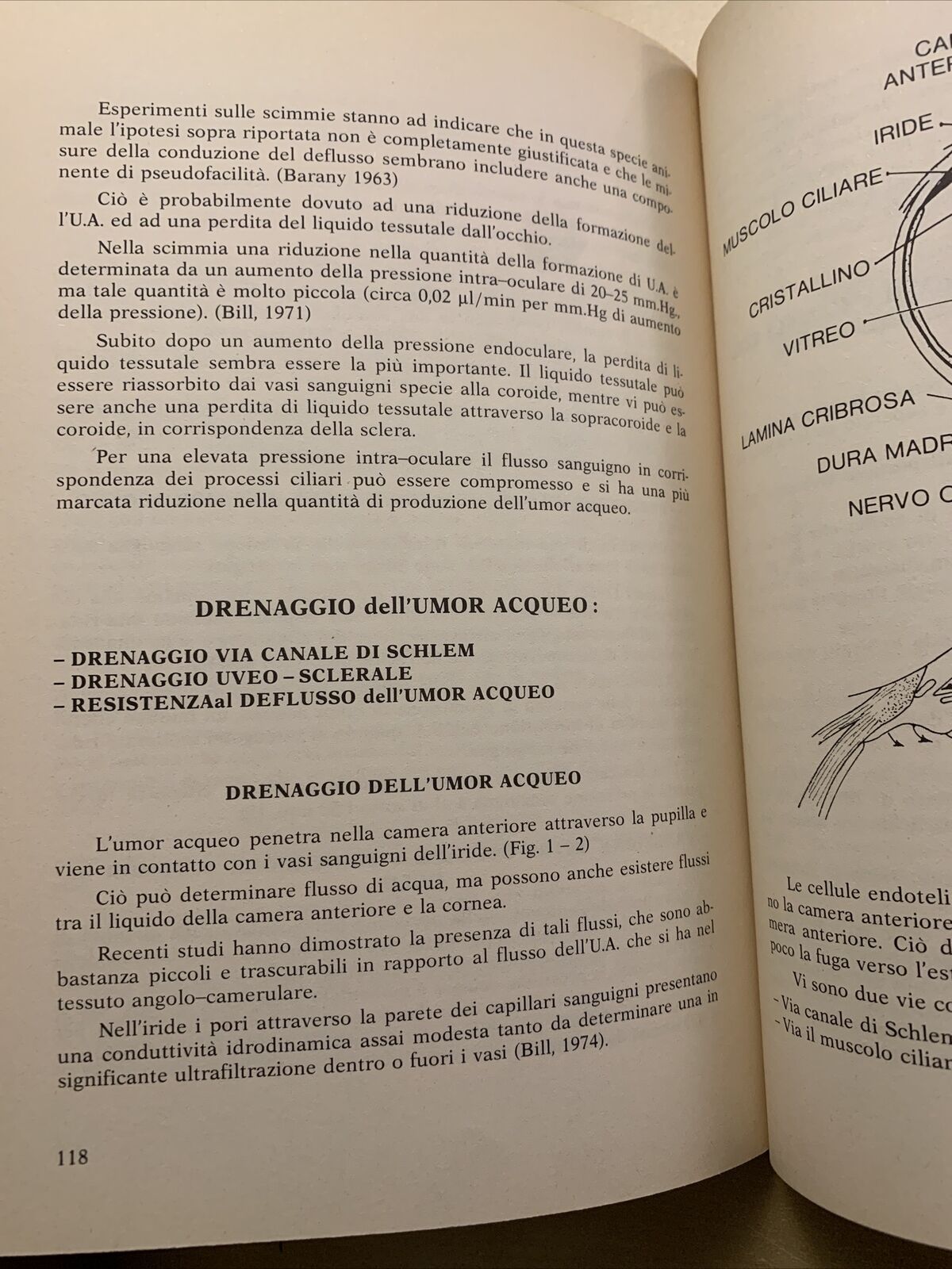Circolazione oculare e dinamica dei liquidi oculari - Severino Cioli 1981 Nobili