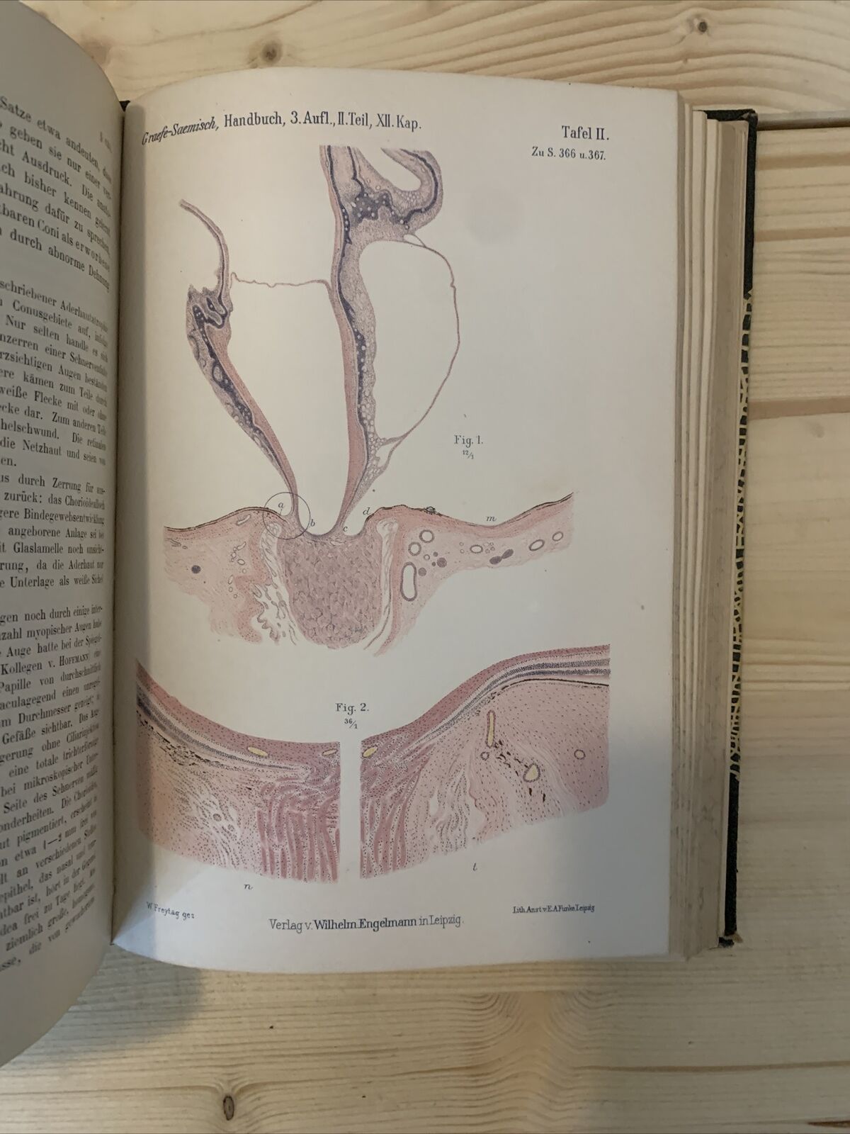 graeffe saemisch handbuch der gesamen augenheilkunde 1910 #