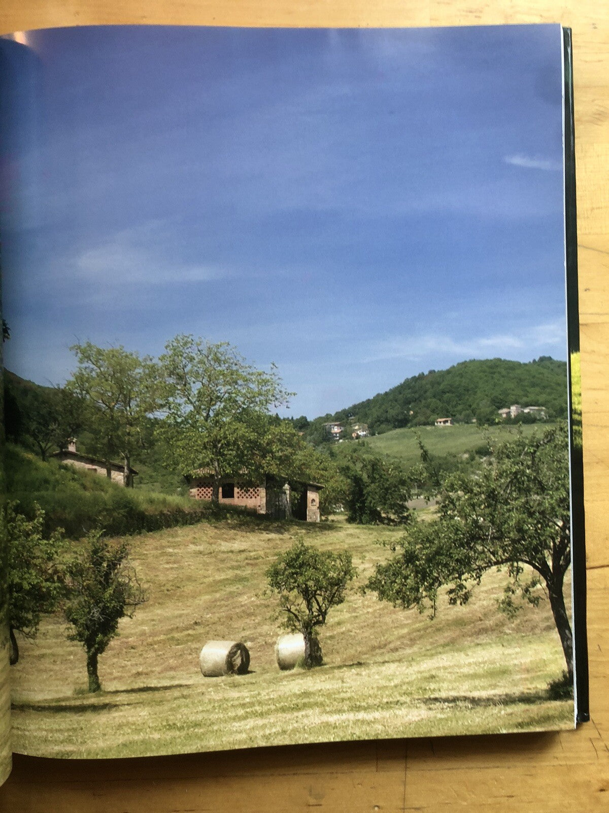 Borghi e Castelli dell'Appennino Bolognese, Renzo Zagnoni. L'Inchiostroblu 2006
