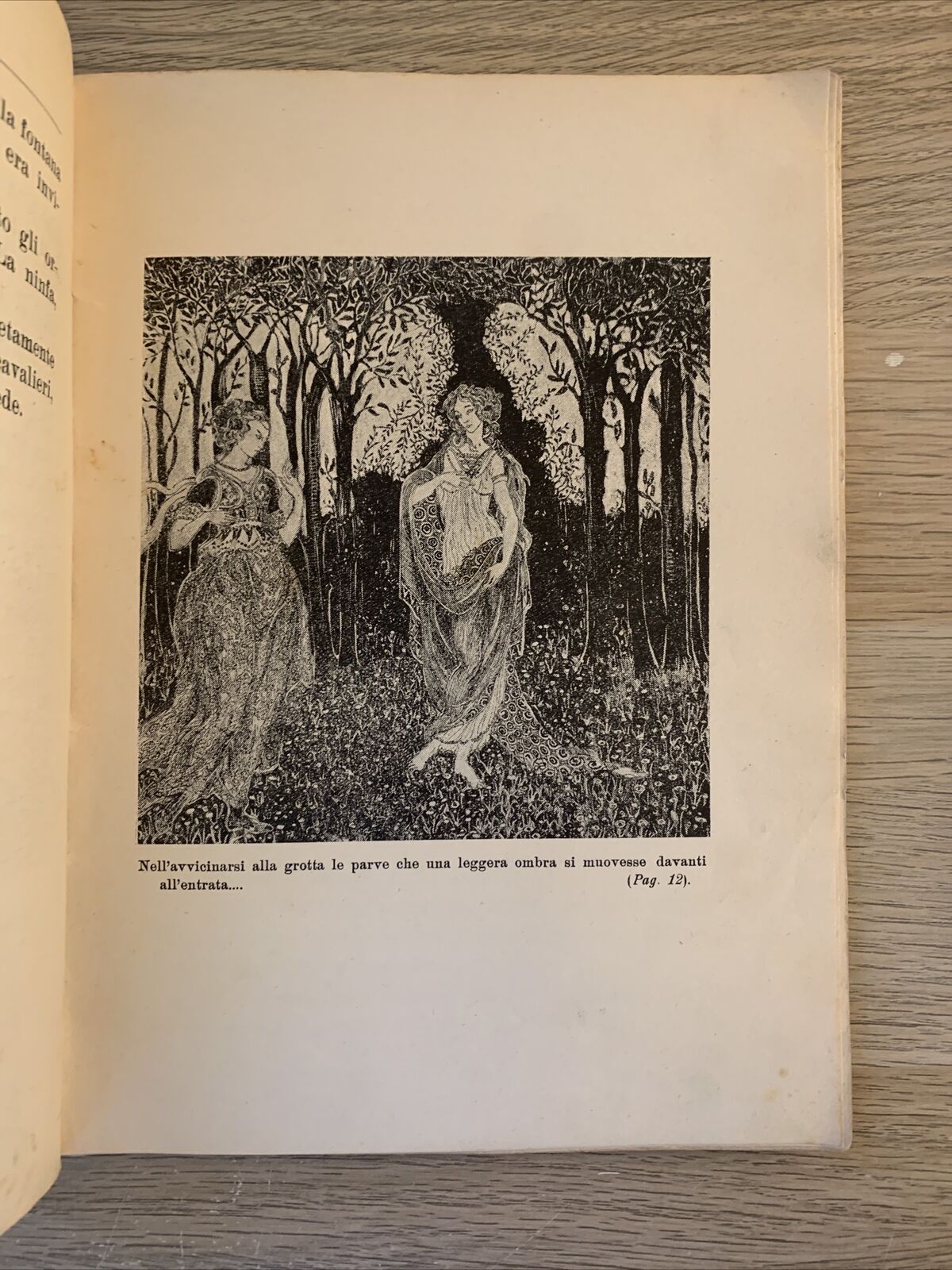 La ninfa del Fonte. C. A. Musäus. La nuova Italia editrice 1929. L. Colosi ill.