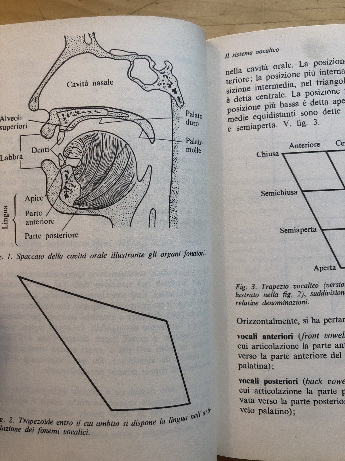 La pronuncia inglese, Esther Menascè, Sansoni 1981