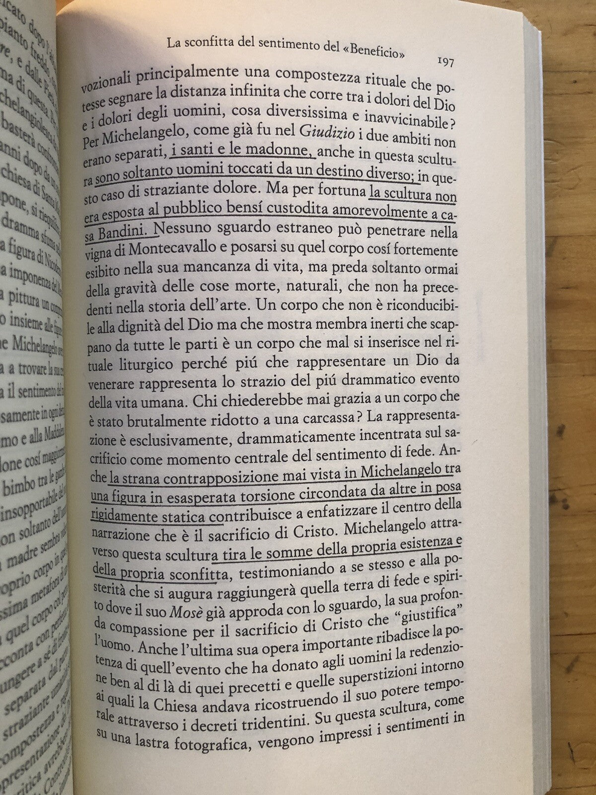Michelangelo Buonarroti storia di una passione eretica, Antonio Forcellino 2002