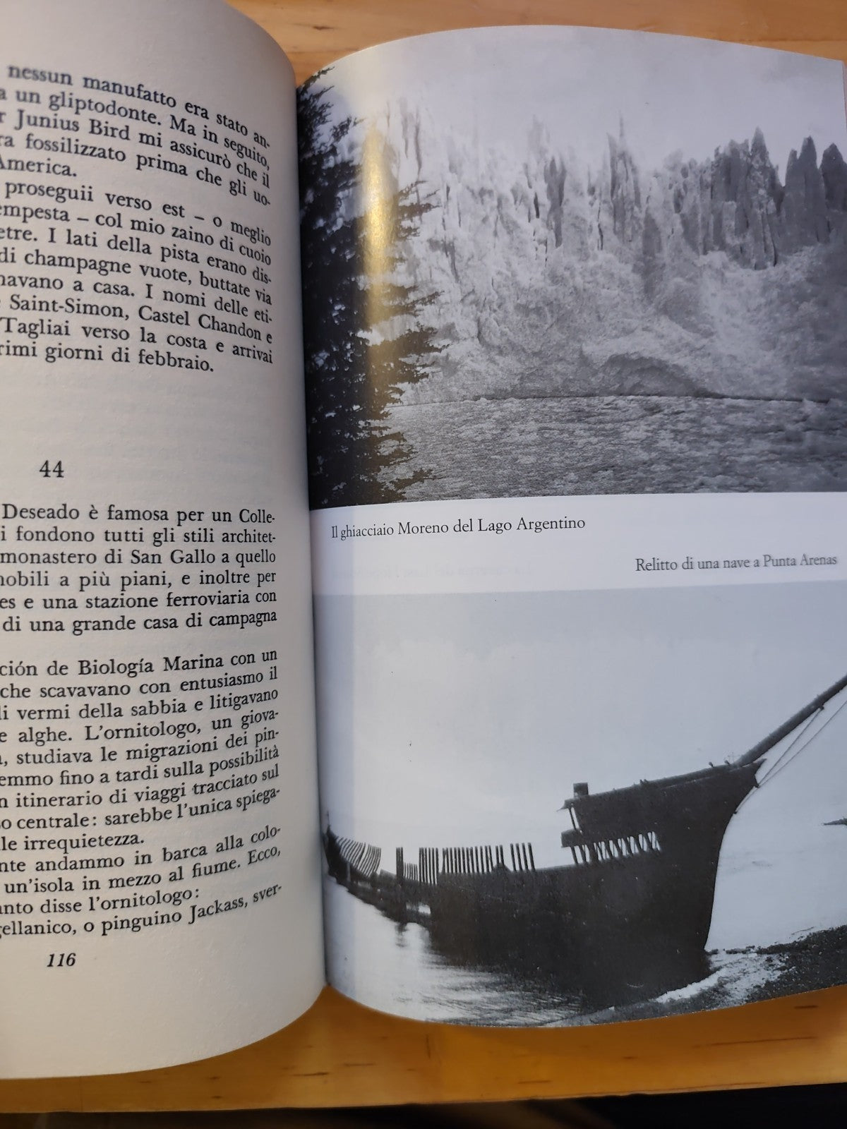 In Patagonia, Bruce Chatwin. Edizione Mondolibri anno 2000