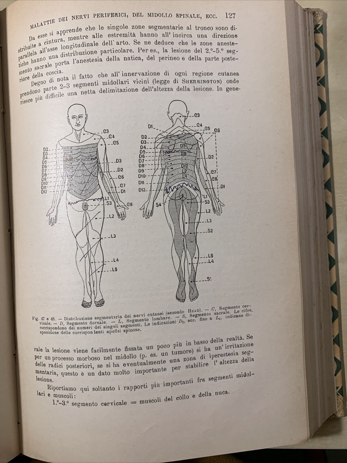 TRATTATO DELLE MALATTIE INTERNE, J. v. Mering. Società Editrice Libraria 1926