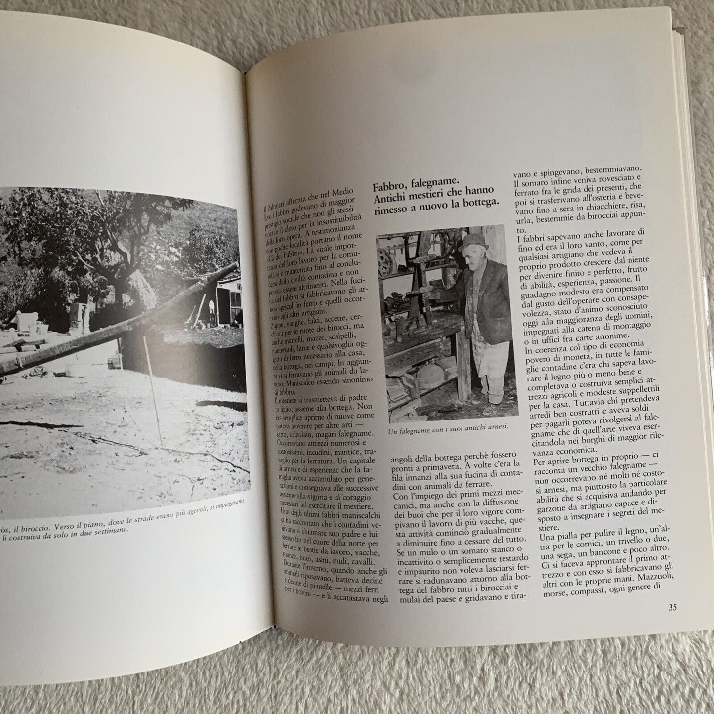 Il crepuscolo della civiltà contadina Adriano Simoncini Mauro Bacci. Grafis 1983