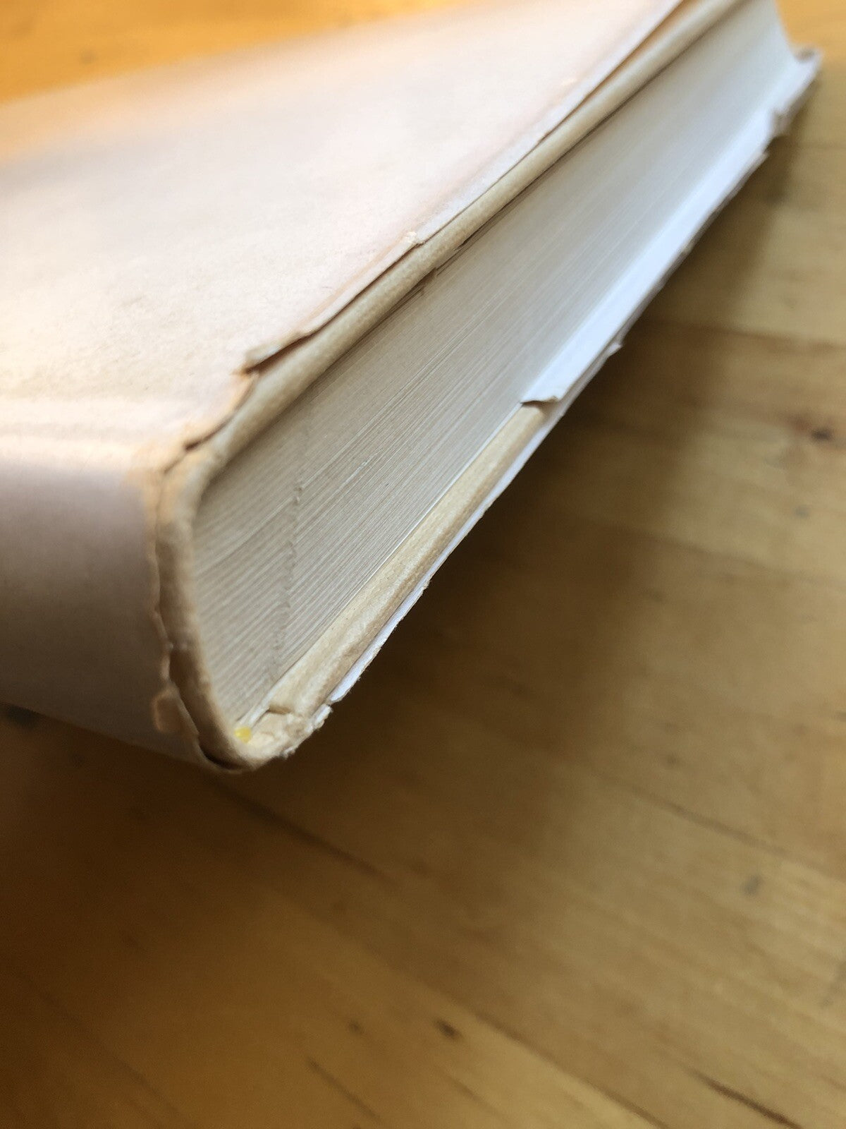 Chiese e Santuari della montagna Bolognese, G. Rivani. Tamari edizioni 1965