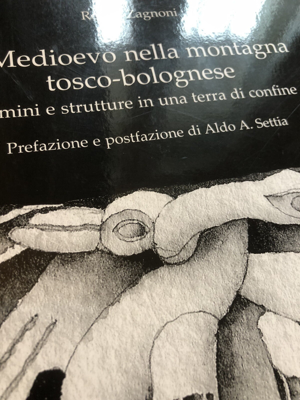 Il Medioevo nella montagna tosco-bolognese, Renzo Zagnoni. Bologna Porretta Term