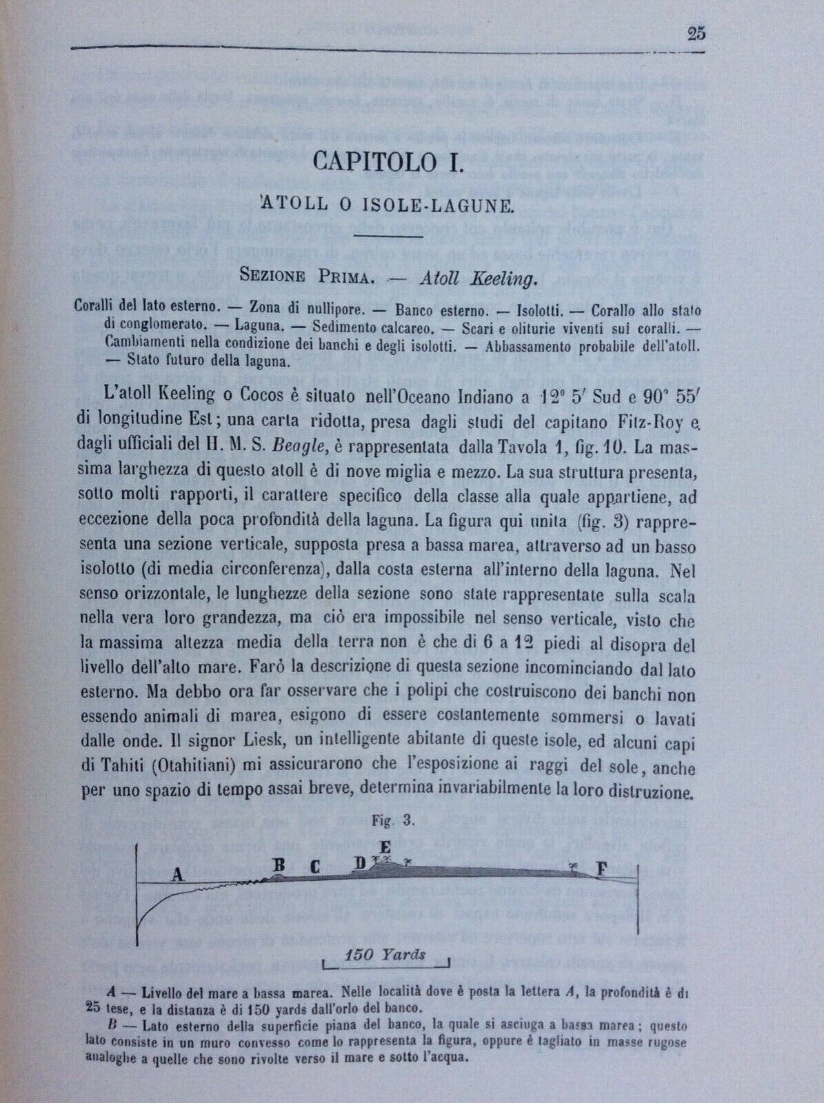 SULLA STRUTTURA DISPOSIZIONE DEI BANCHI DI CORALLO, DARWIN, UNIONE TIPOGRAFICO